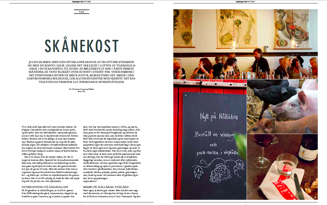 Skærmbillede 2016-03-23 kl. 18.08.10.png