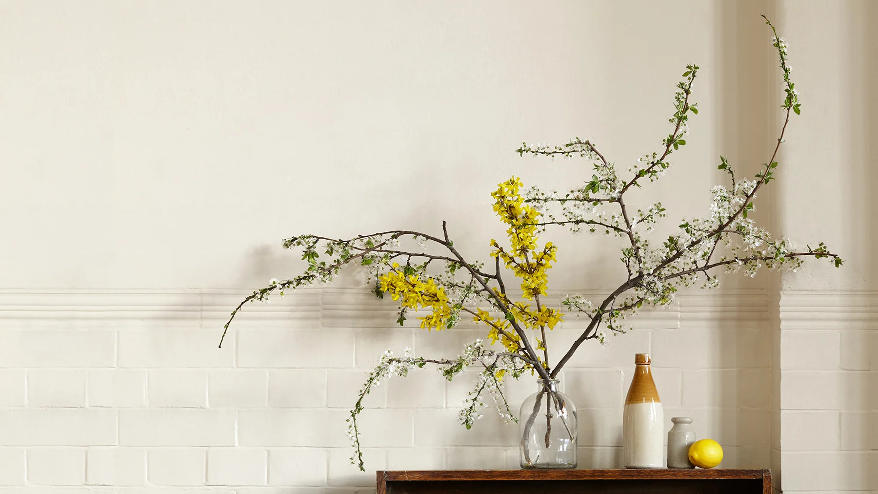 Still life photography 
