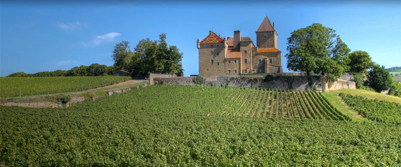 Flight Club #8: Chardonnay