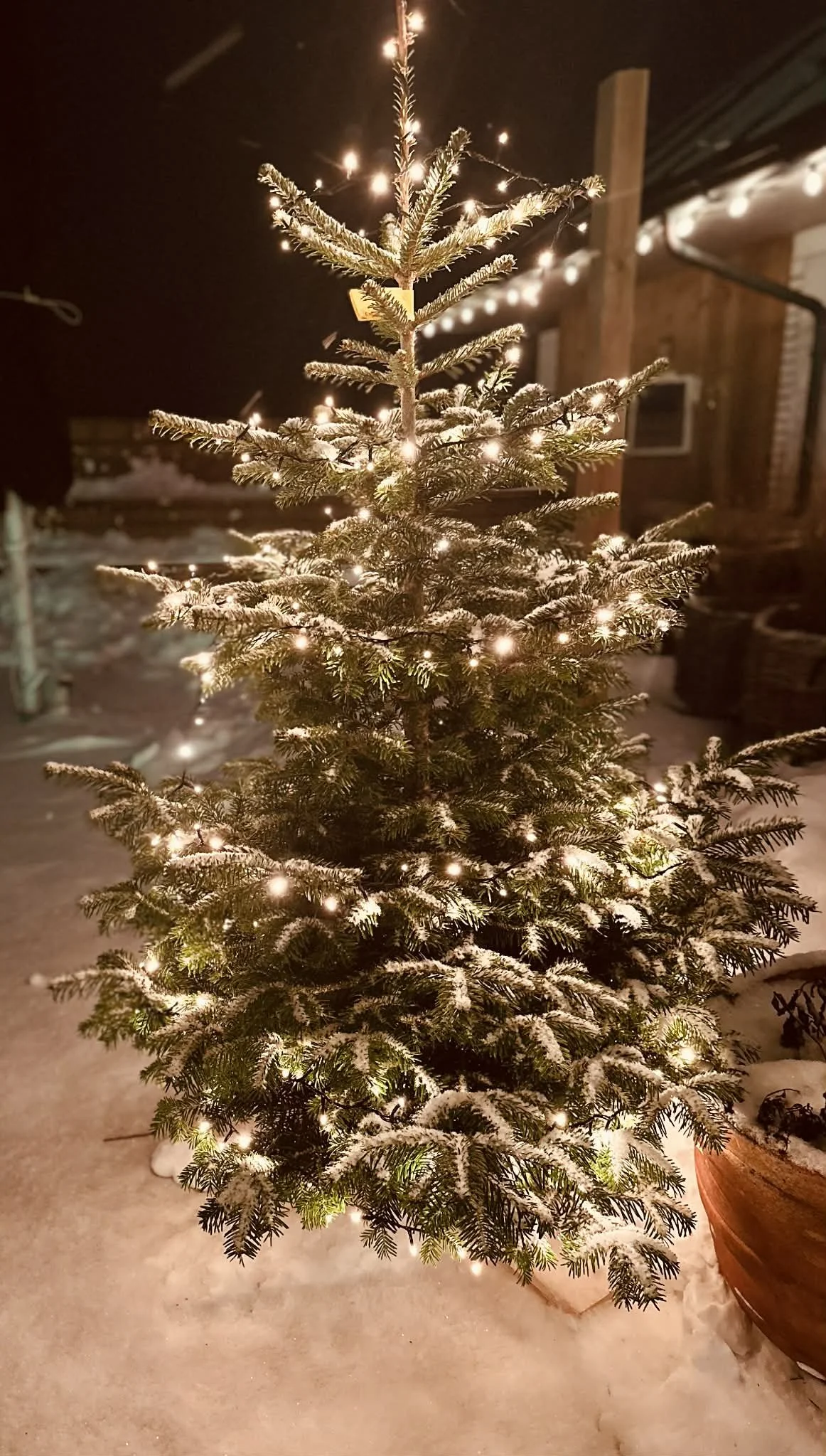 MADBARENS JULEMARKED