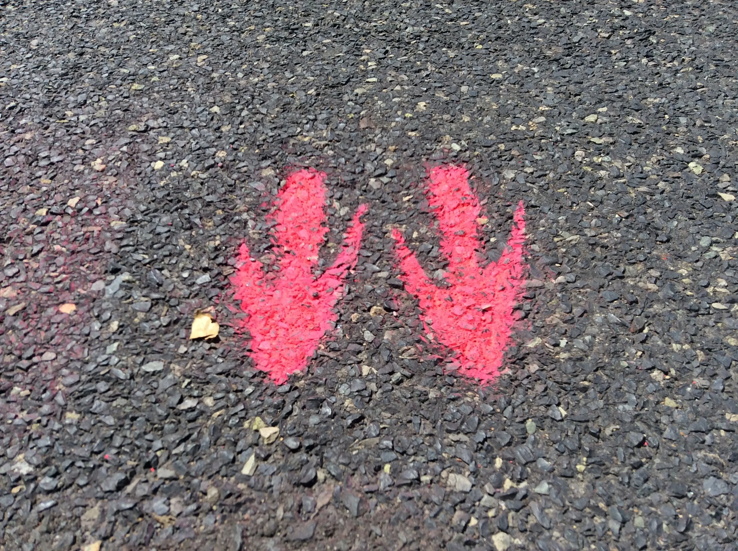 Events: Lake Nockamixon Century Ride and Why You Should Do It