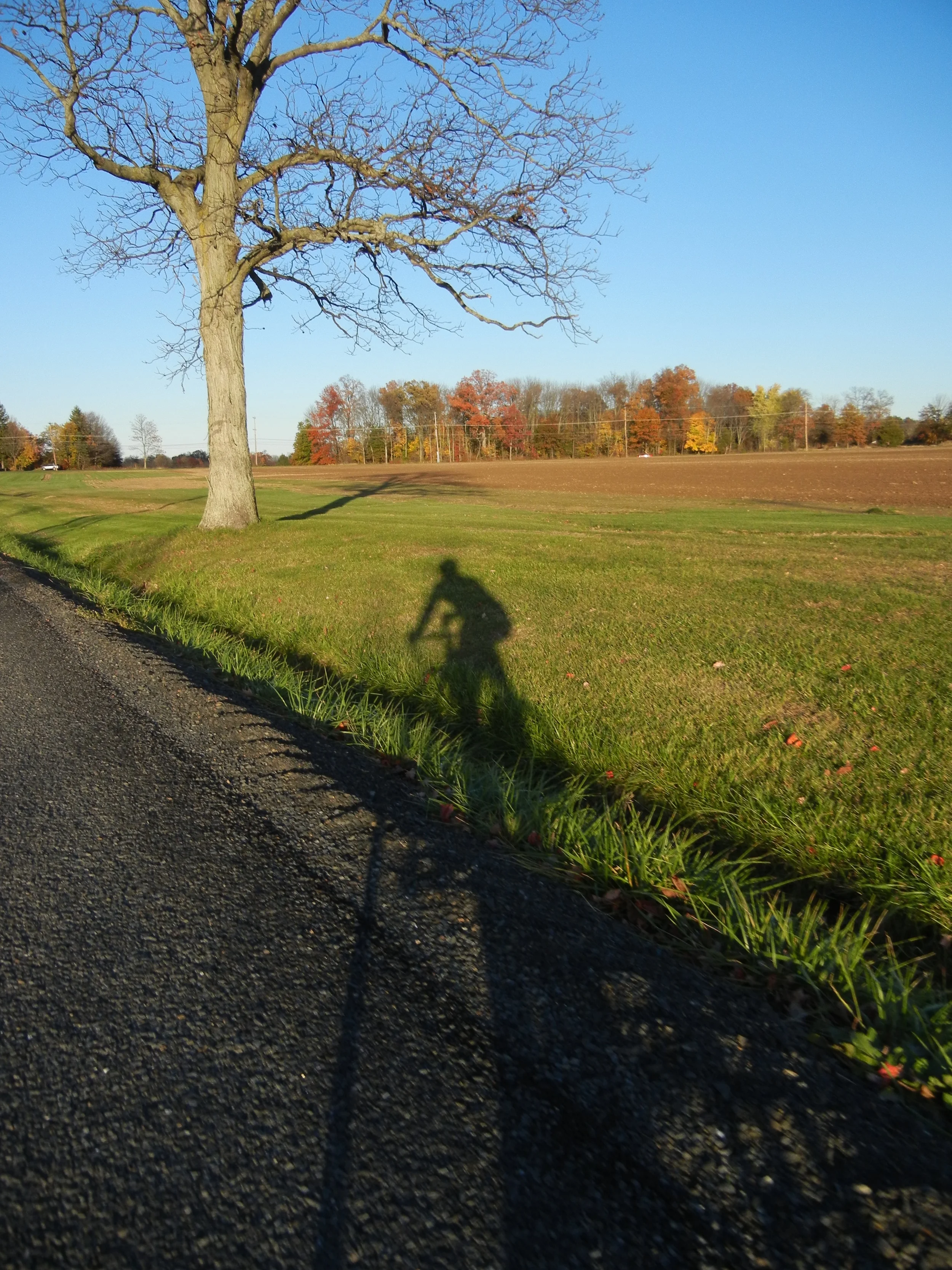 Essay: On the Longest Shadow (Part Two)