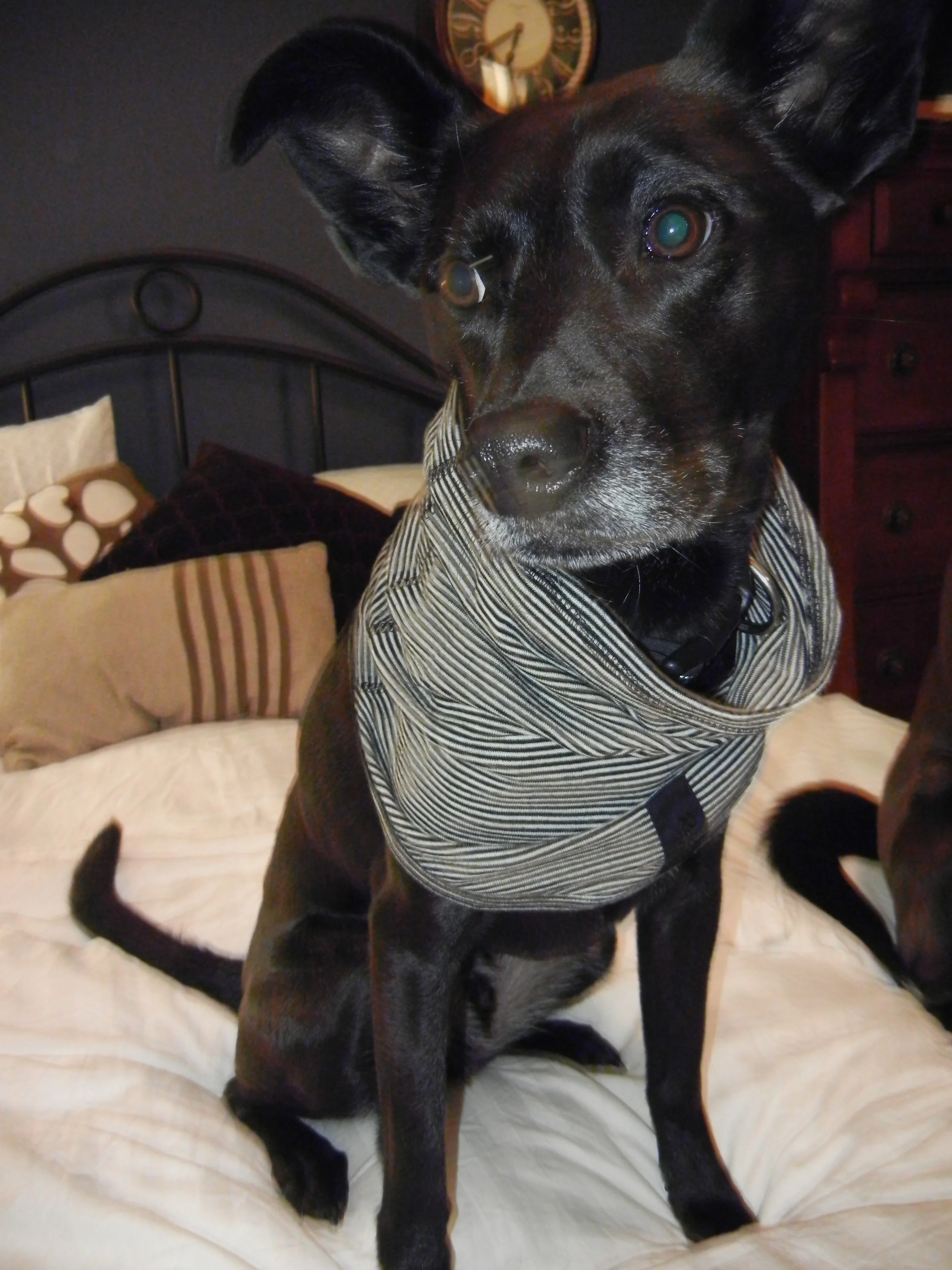 Events: Rides We Spy