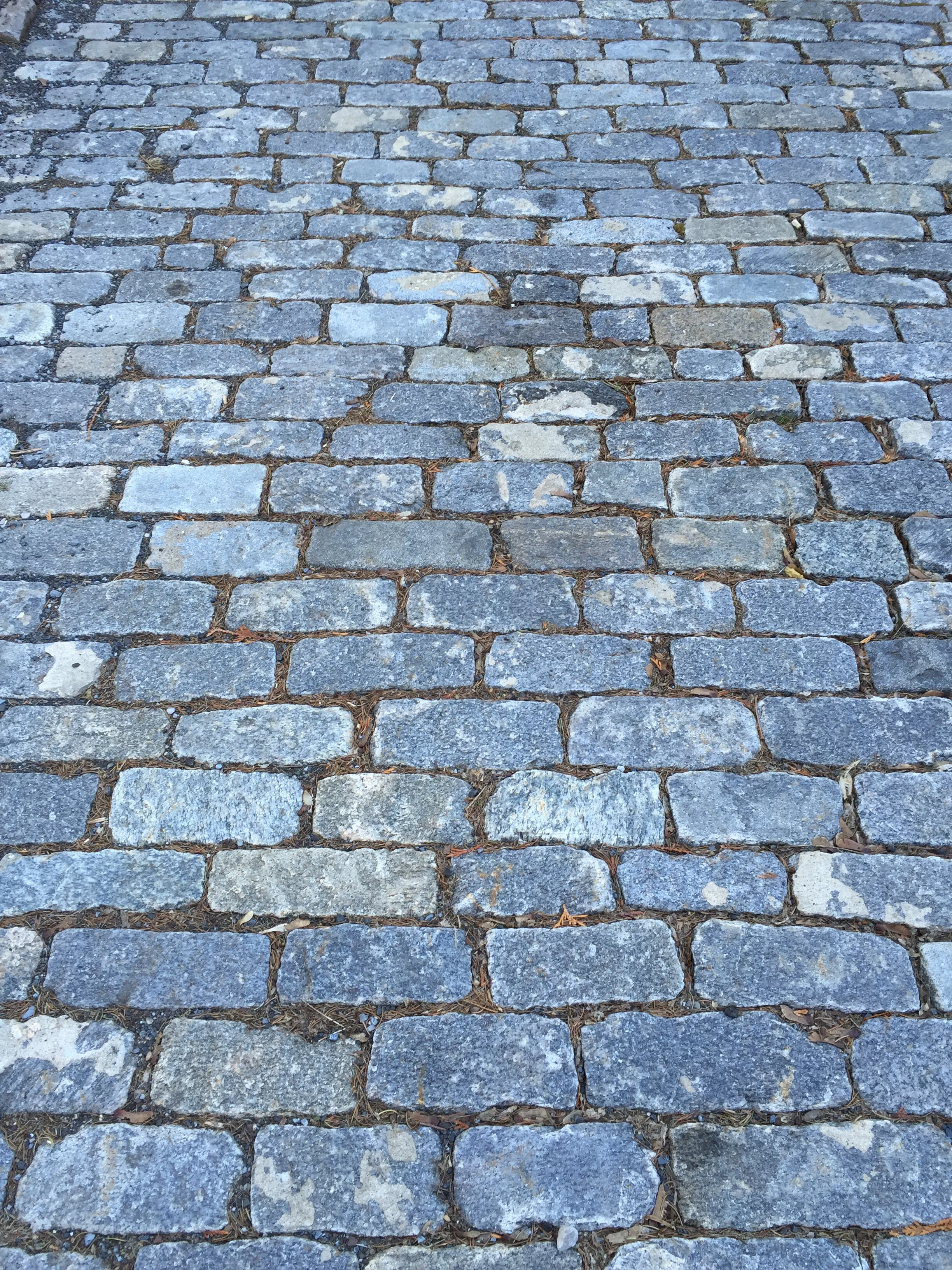 Essay: On Spring Classics