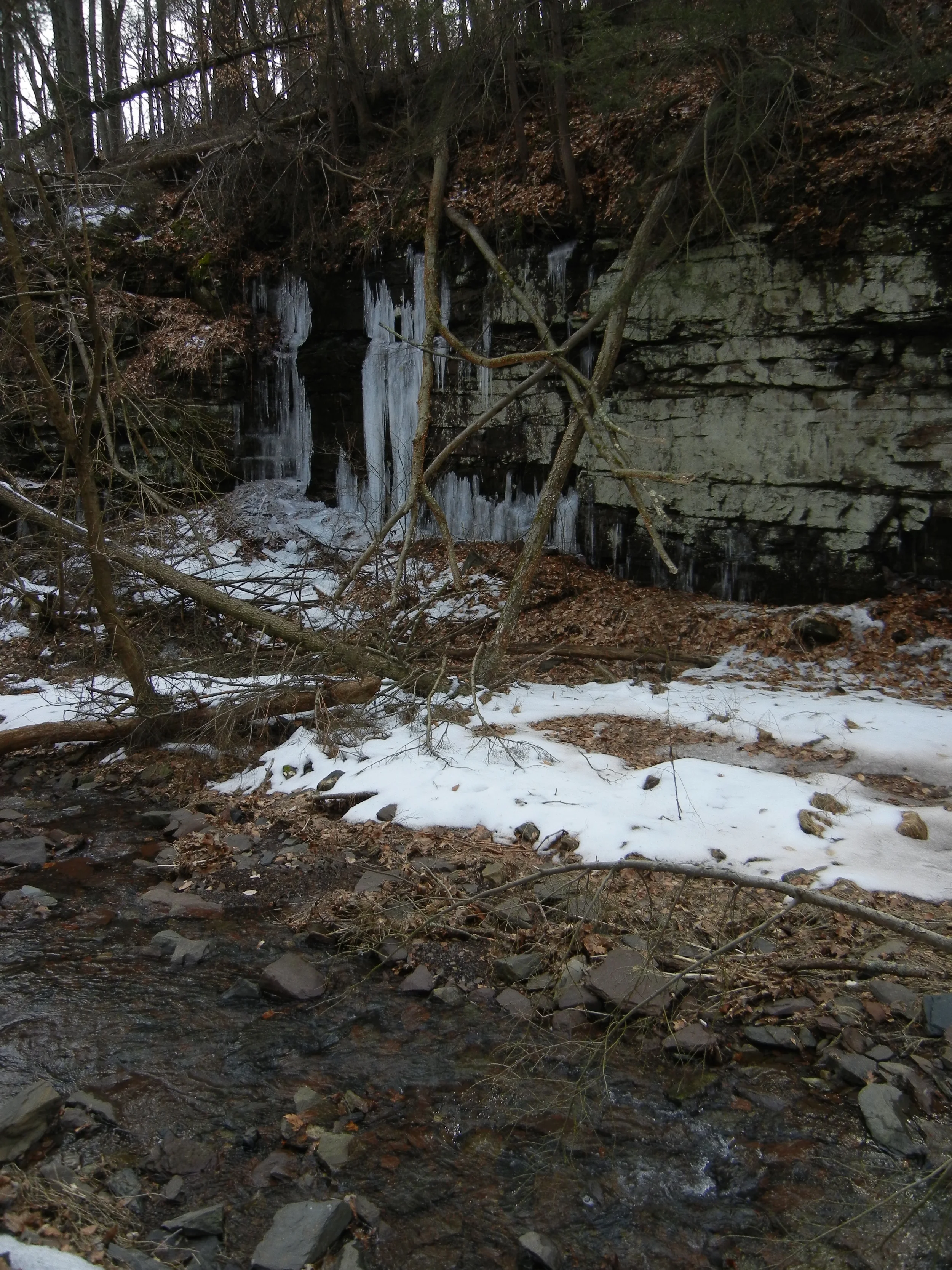 The small stream and the rocky walls adorned with ice bordering Dark Hollow Road's descent to the River.