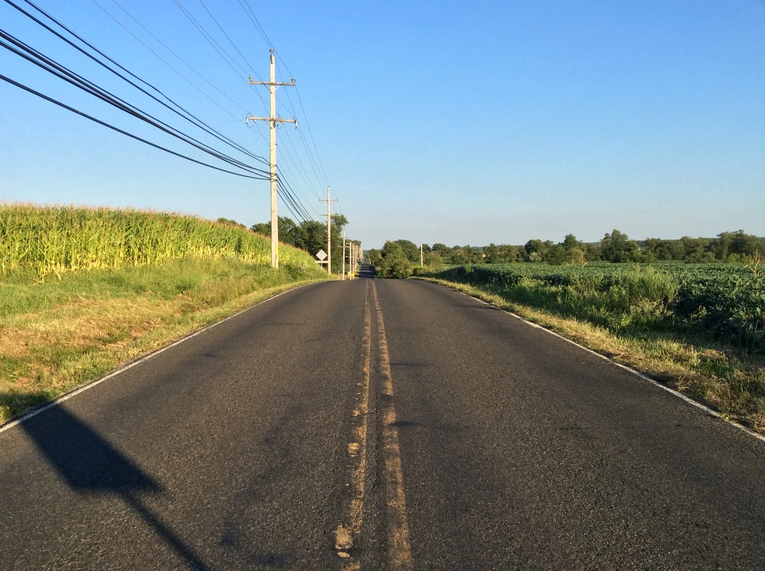 Essay: On the Oft-Ridden Route