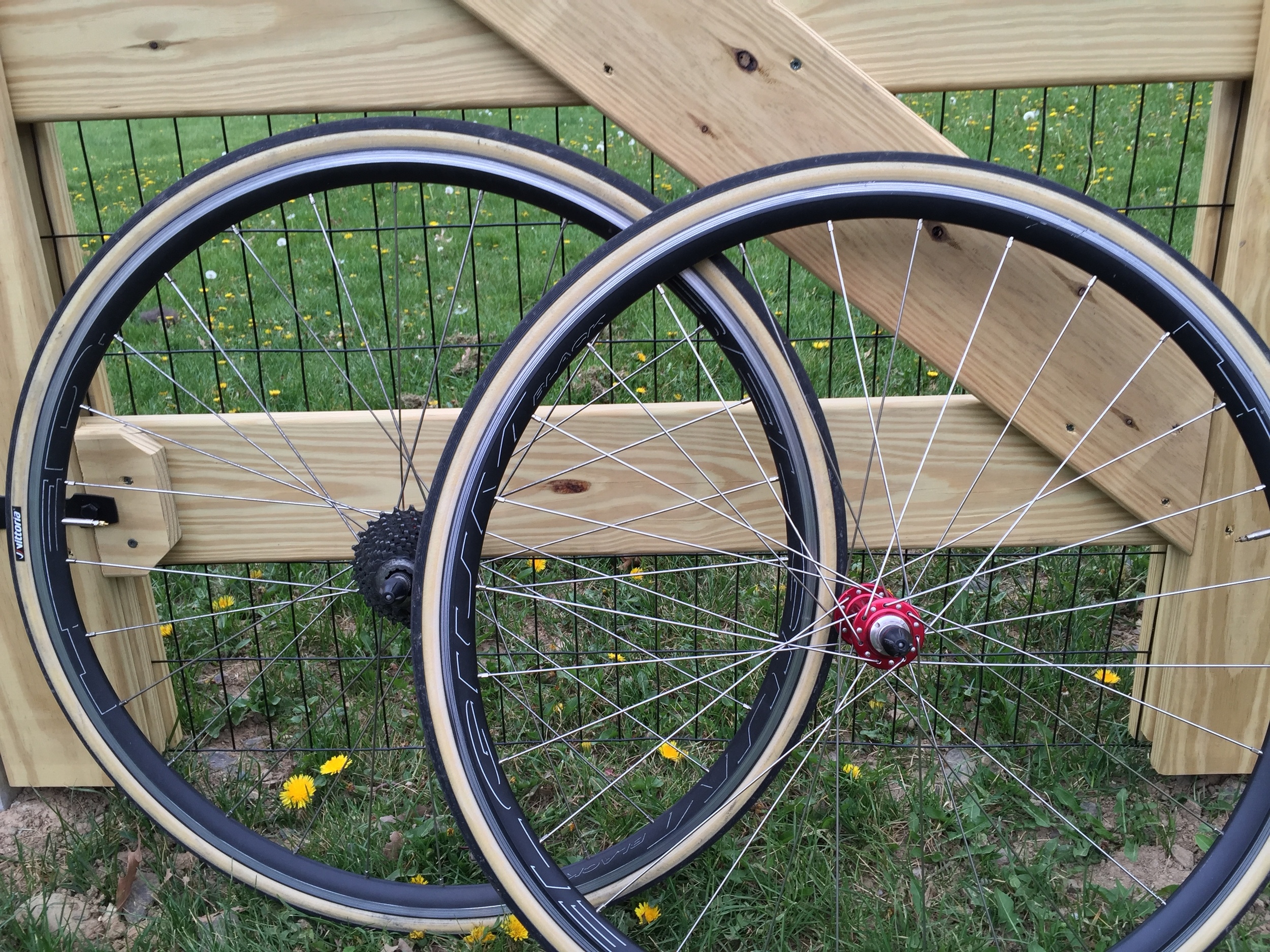The HED Belgium/ Vittoria Corsa team issue is a classic combination.