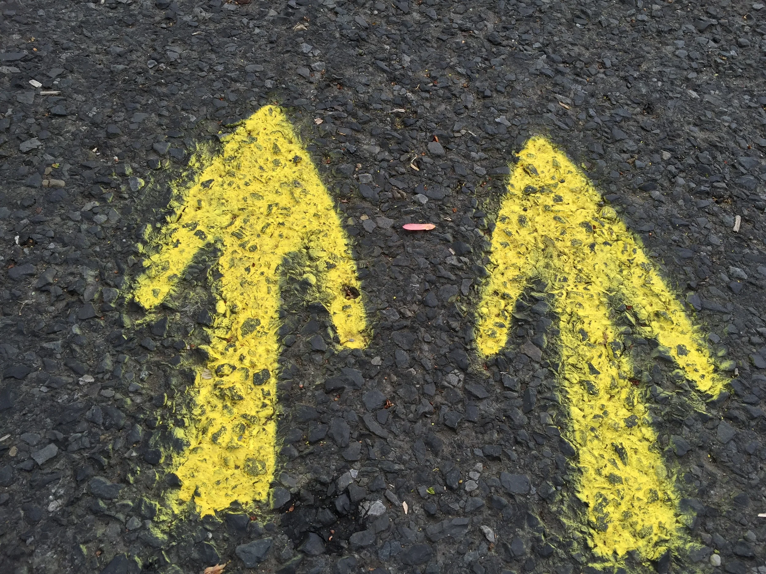 Events: Fleche Buffoon 2016