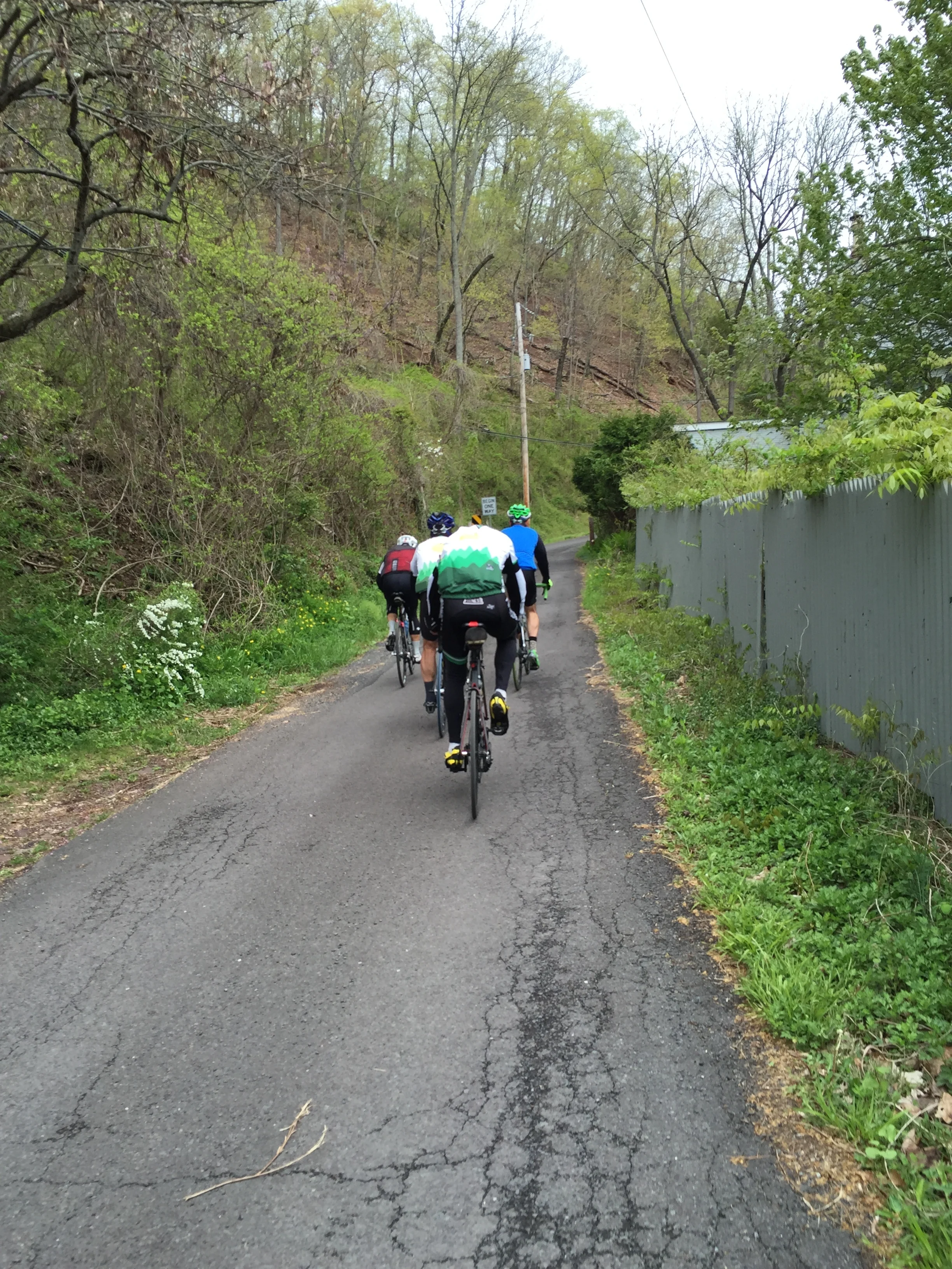 The thin black line of Uhlerstown's initial climb. The surprise lay in waiting behind the next turn (and the slight turn after that). It is physically impossible to photograph the steepest part while riding, hence there are no photos of said steep portion.