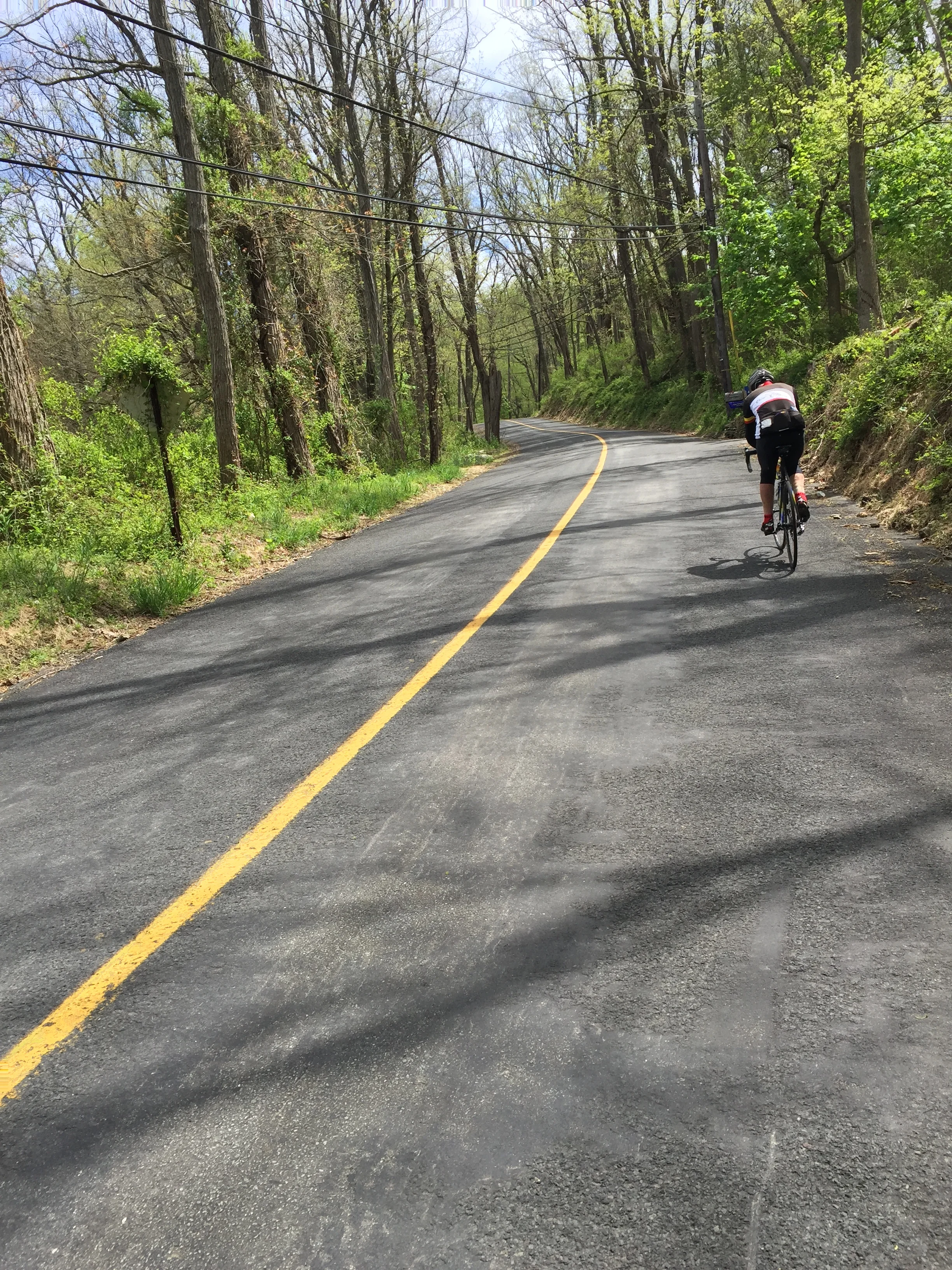 We caught this lone rider at the bottom of Adamic Hill Road only to have him pass us near the top.
