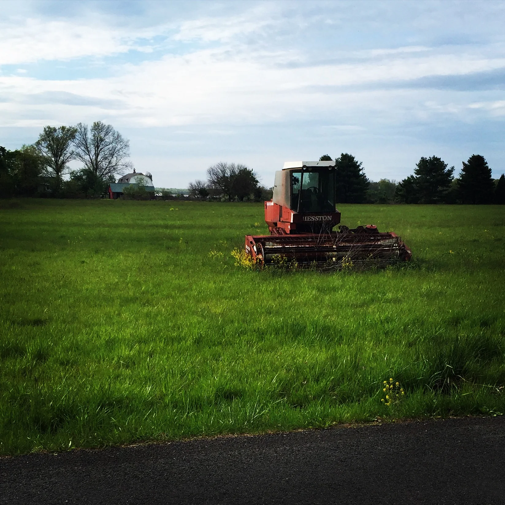 Rides We Like: Up on Elephant Road