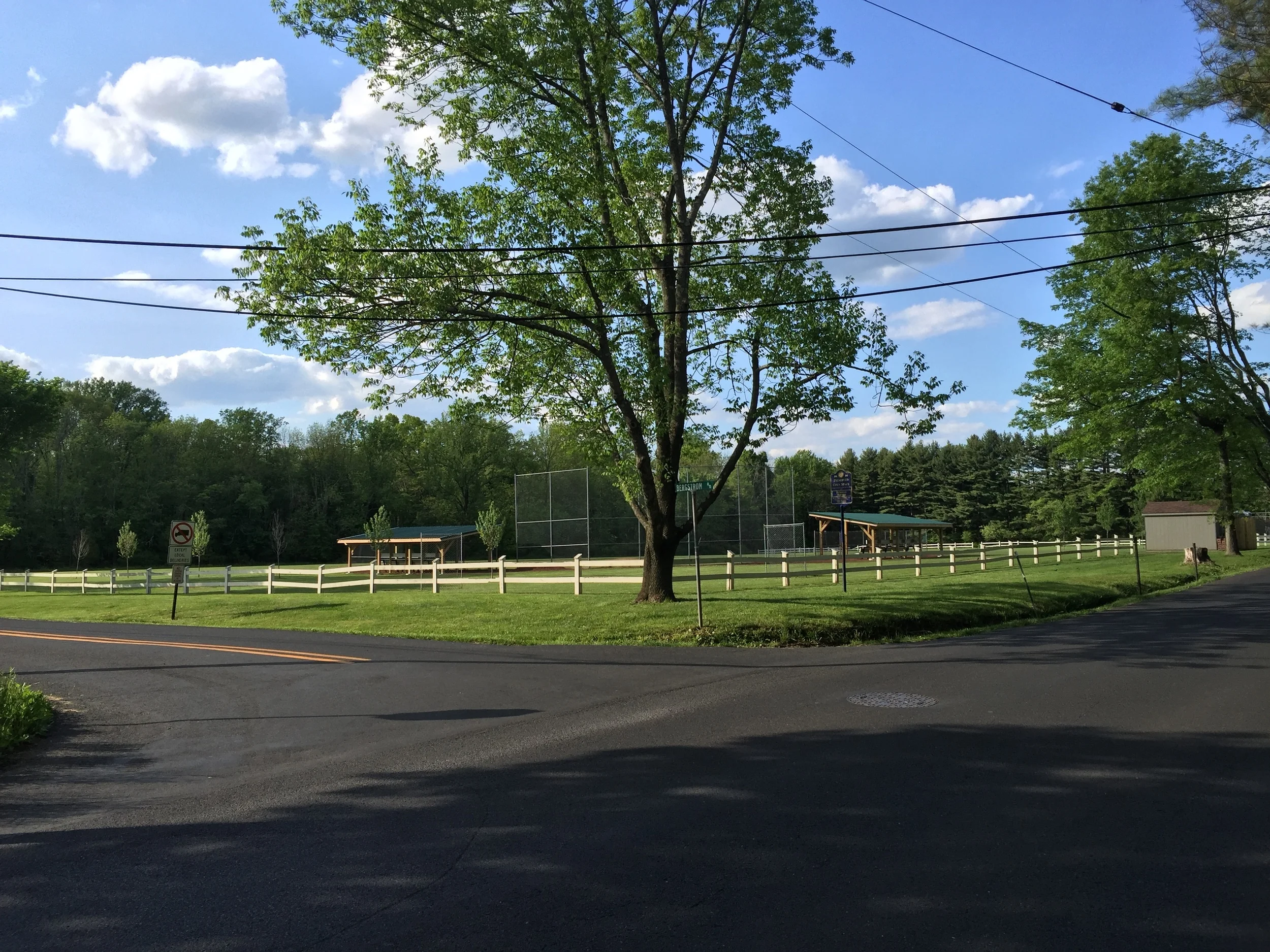 Rides We Like: McNeil Road with Bear Patrol