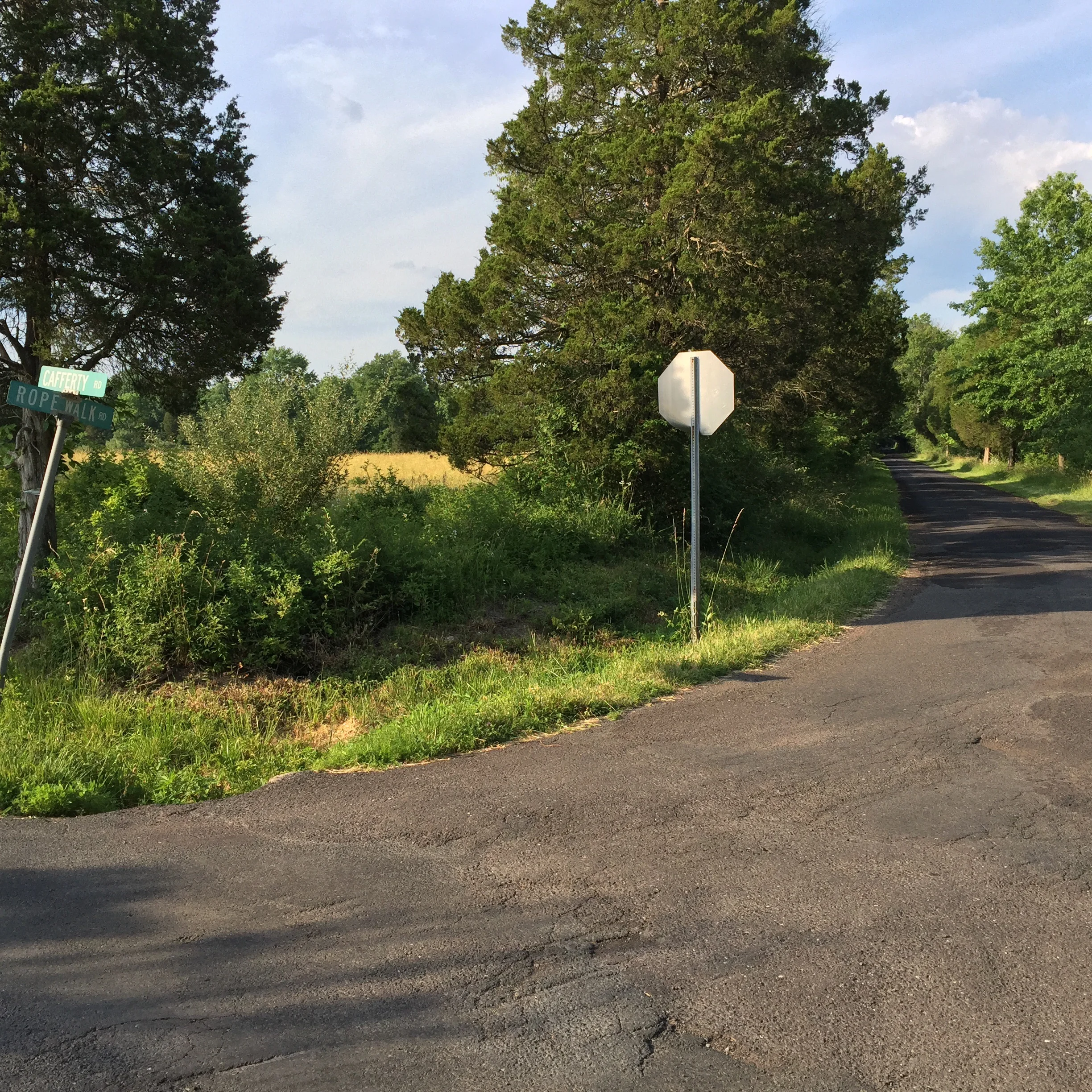 Rides We Like: Rope Walk/ Center Road
