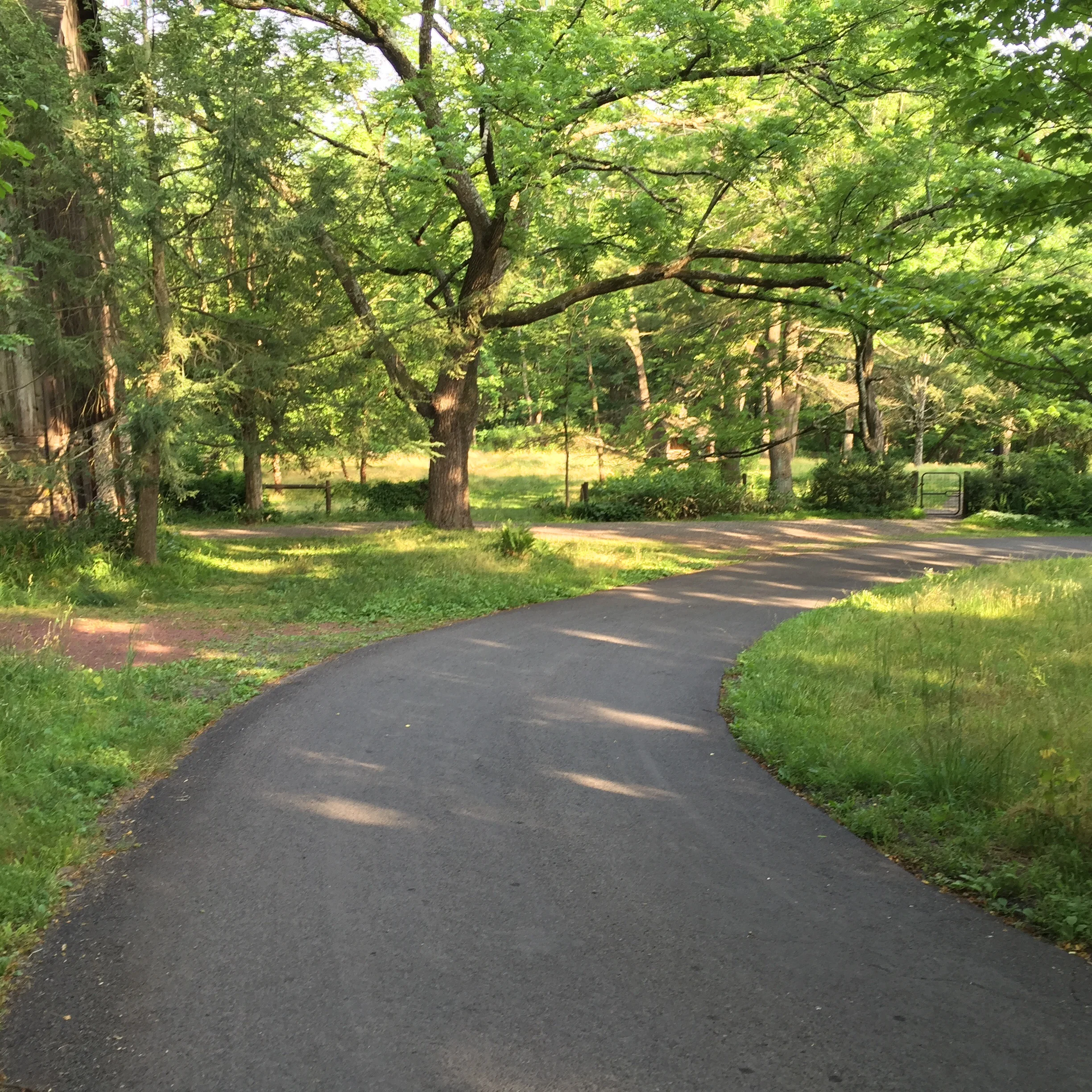Descending Center Road, this is the right-hander after a remarkable downhill portion. It sends the rider into an equally sharp, equally blind left-hander. This gives cyclists a good mental map of the runaway bike places just in case the turn is a bit too sharp for the speed.