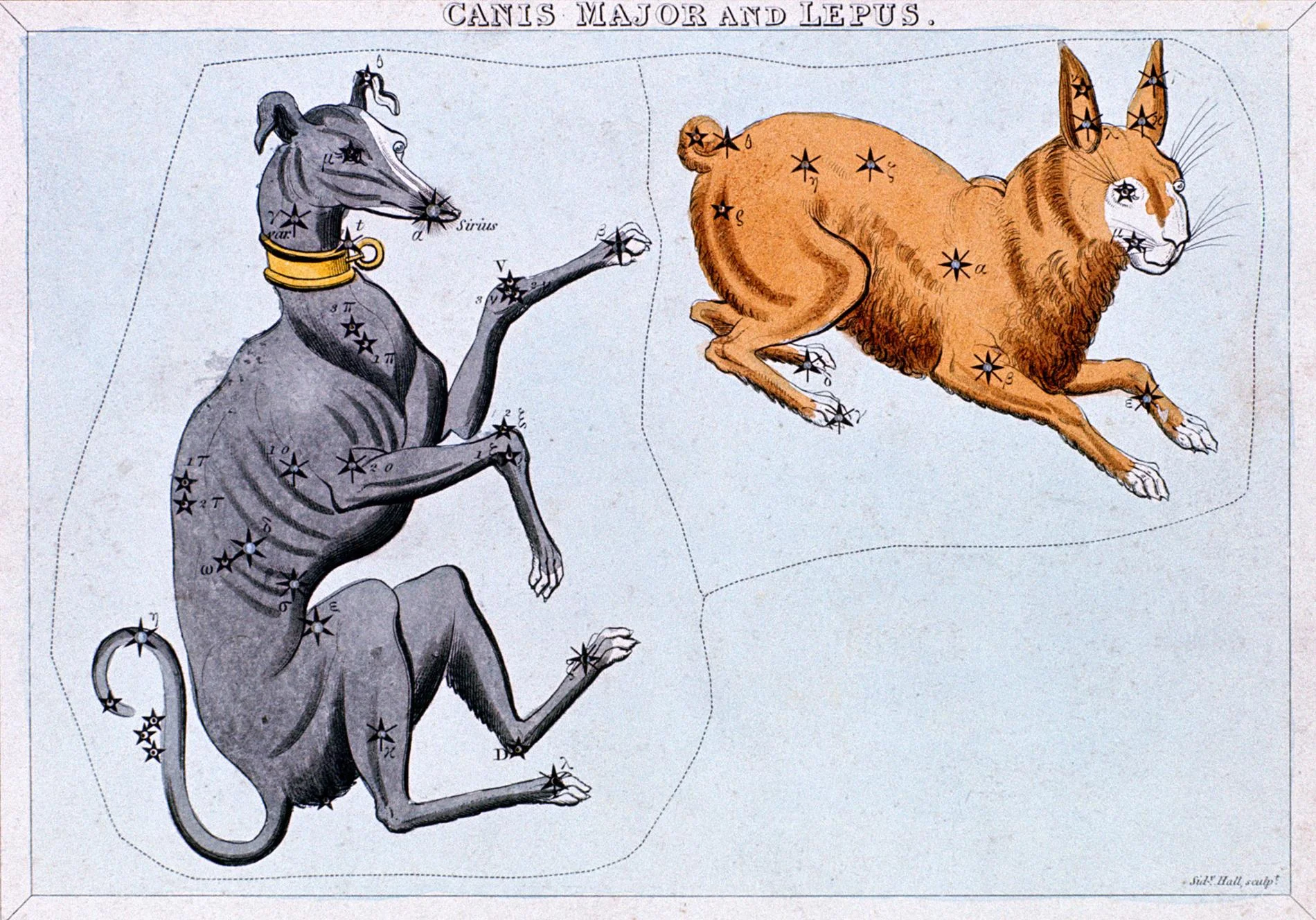 Events: The Dog Days of Summer