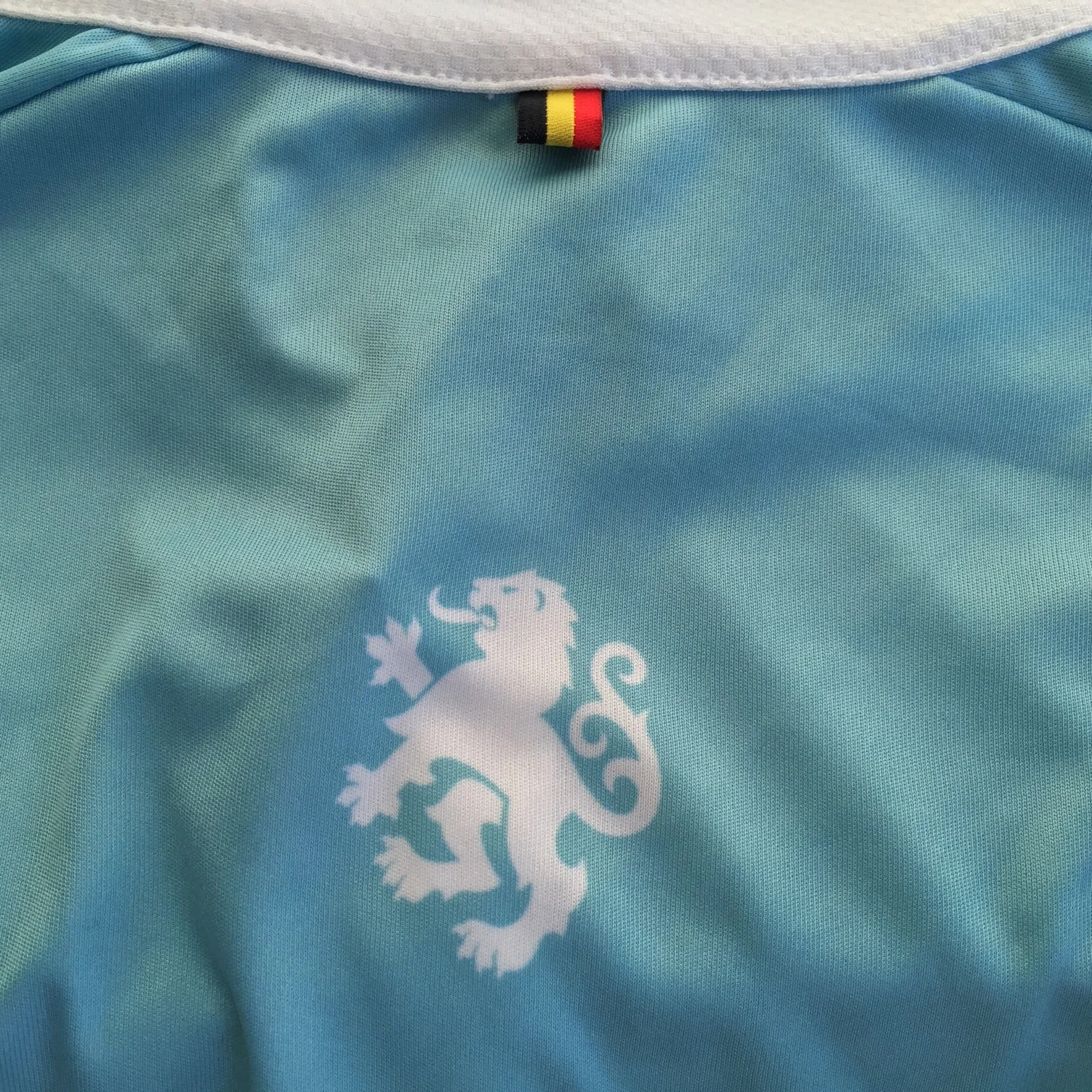 The Lion of Flanders rests between the shoulder blades.