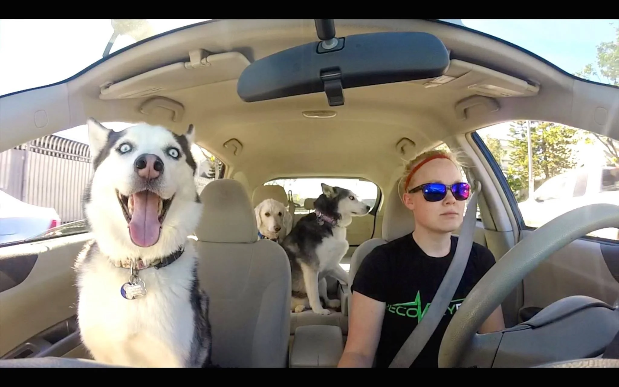 GoPro shot with her dog, Eva, in the front seat.