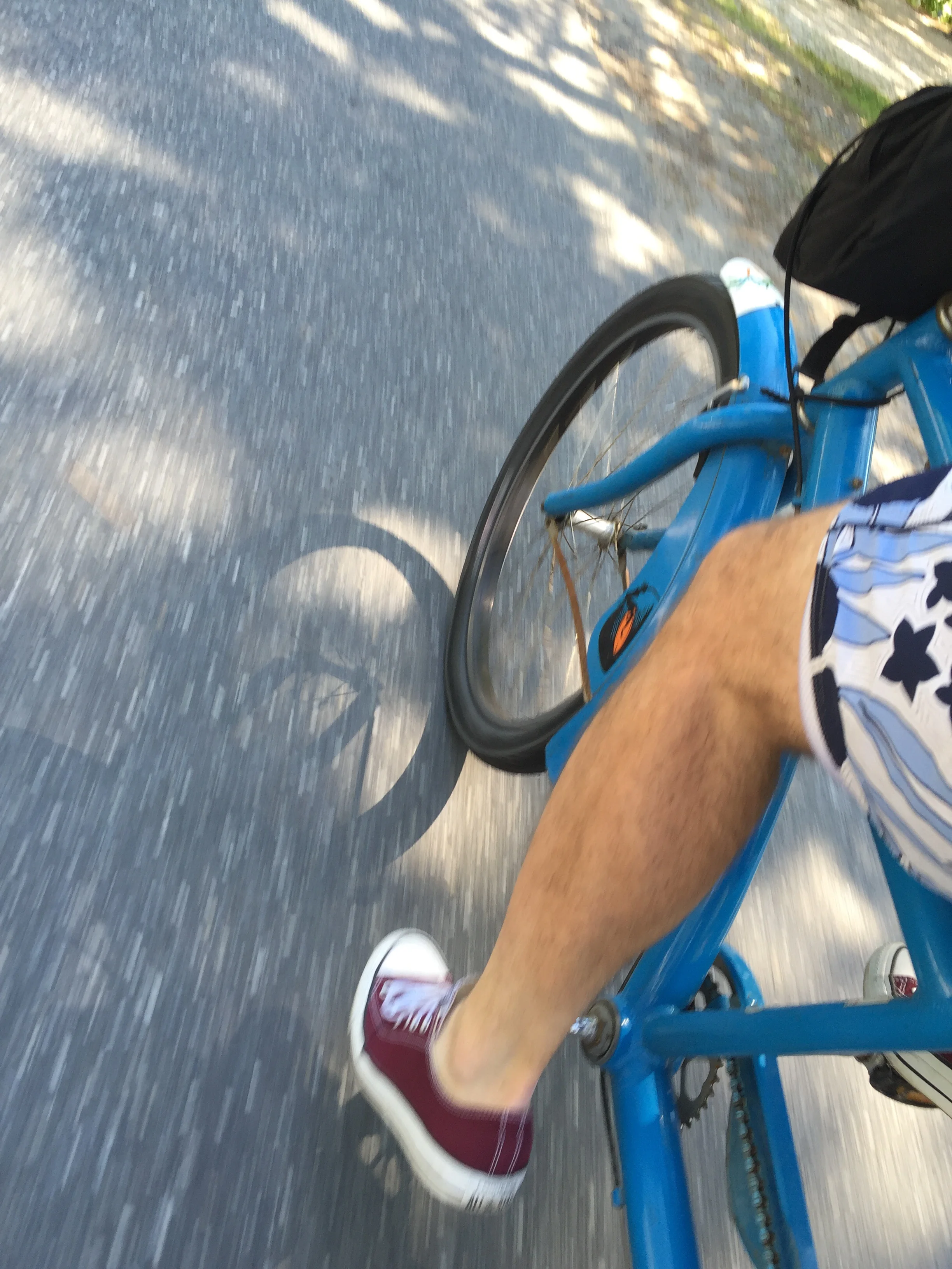 Rides We Like: On a Beach Tandem to the Sand