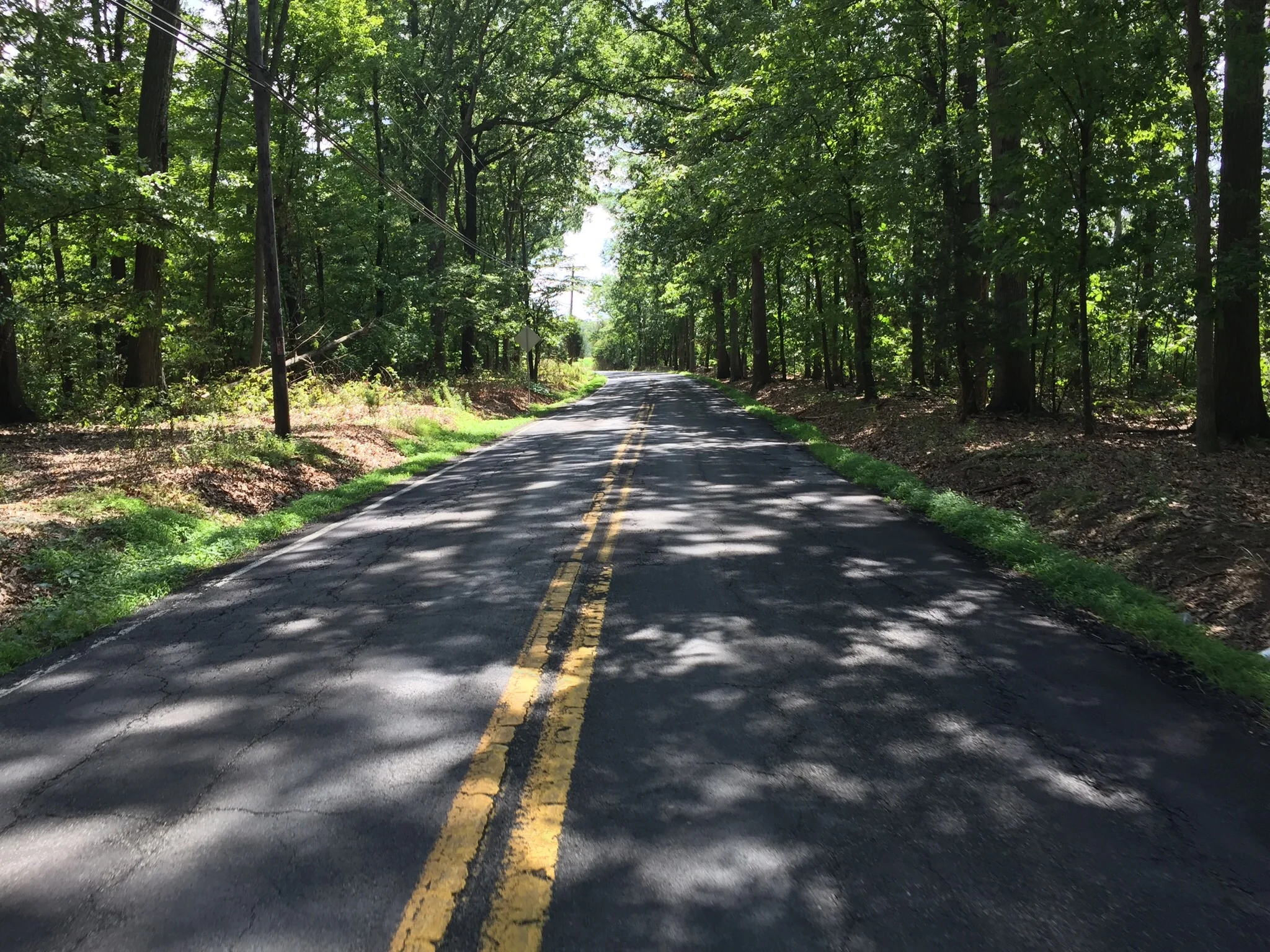 Essay: On Thoreau’s Plea