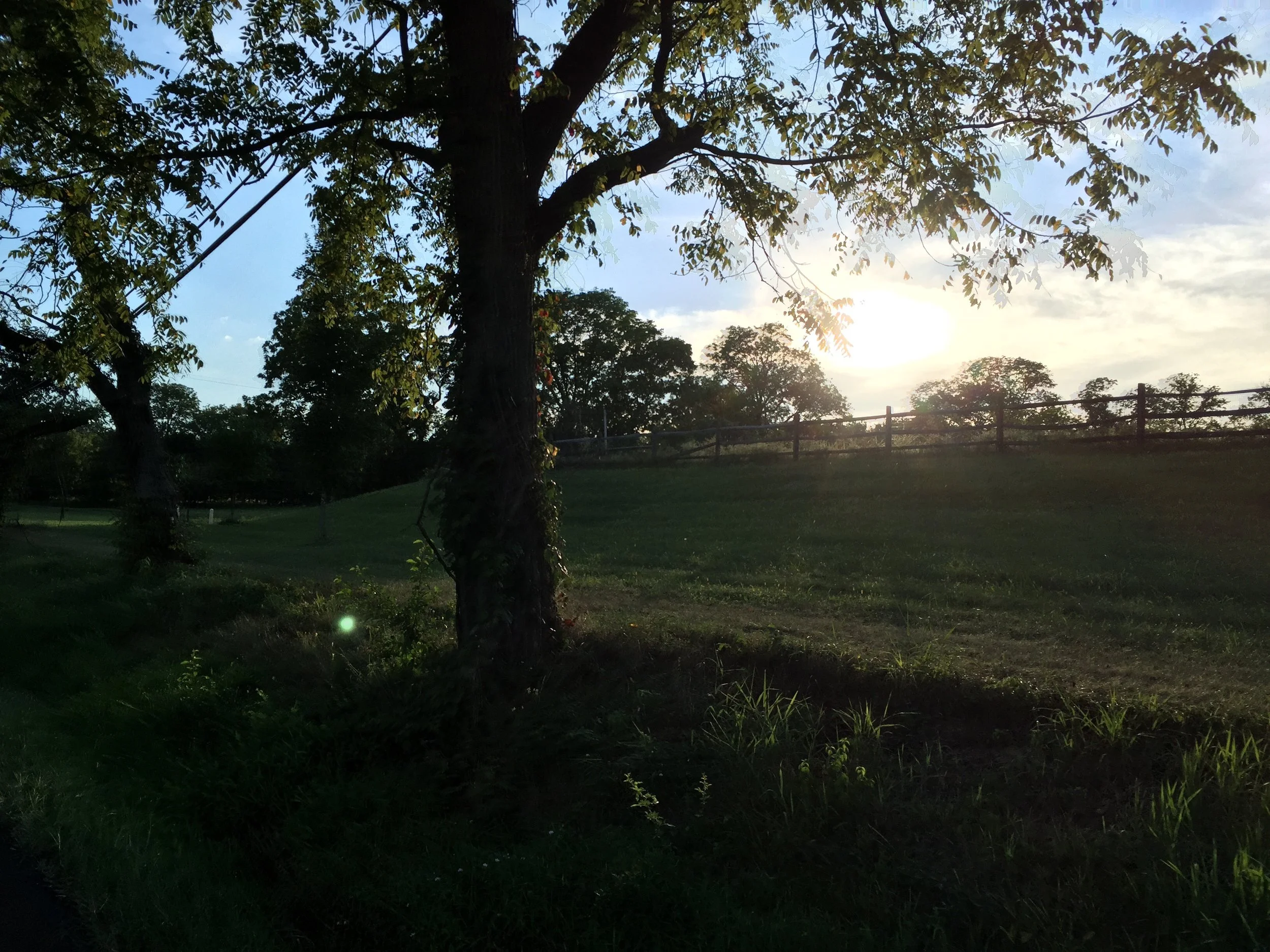 Essay: On the Sun’s Glare