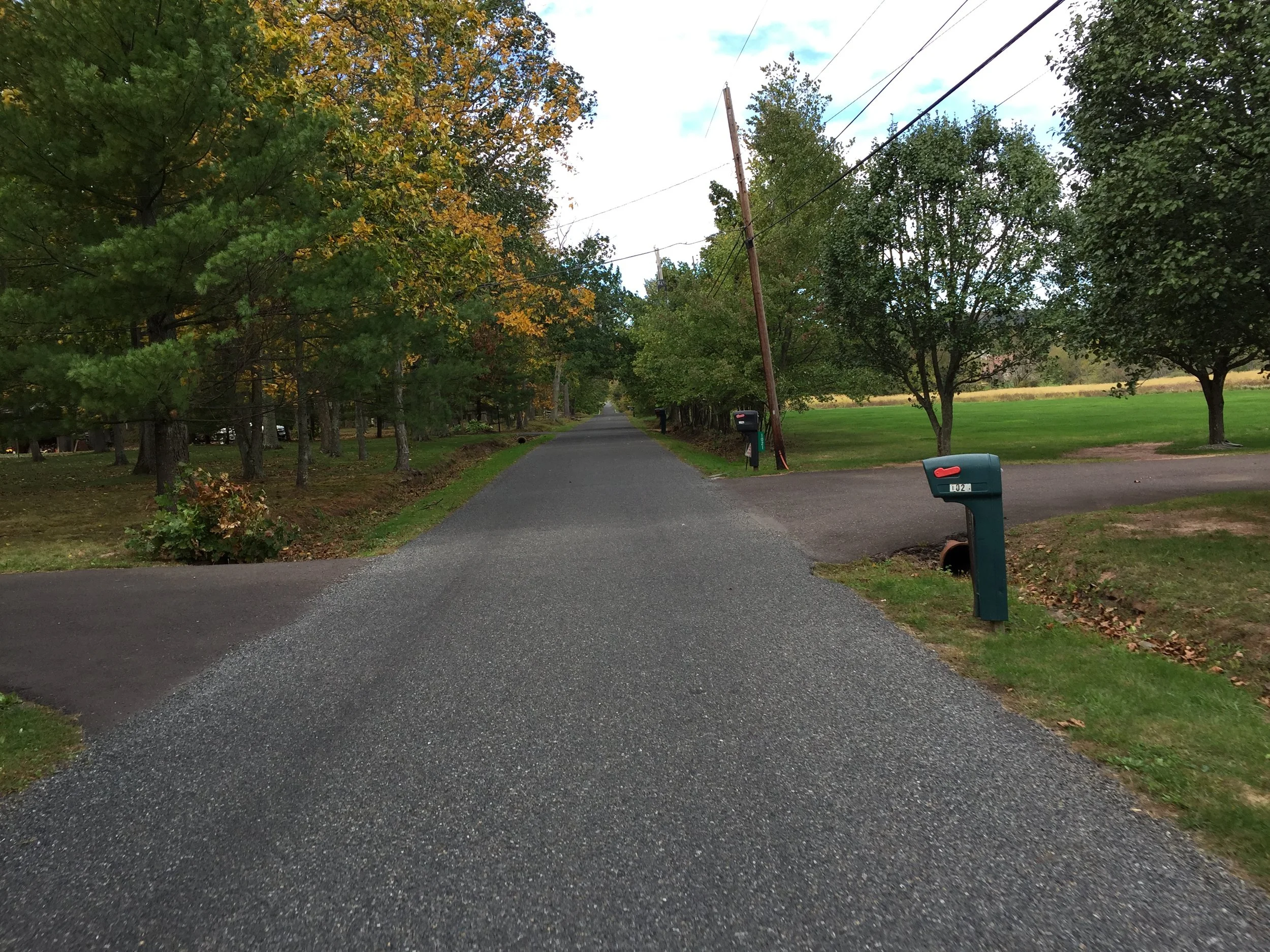 Rides We Like: Feeling the Effects of a Hurricane