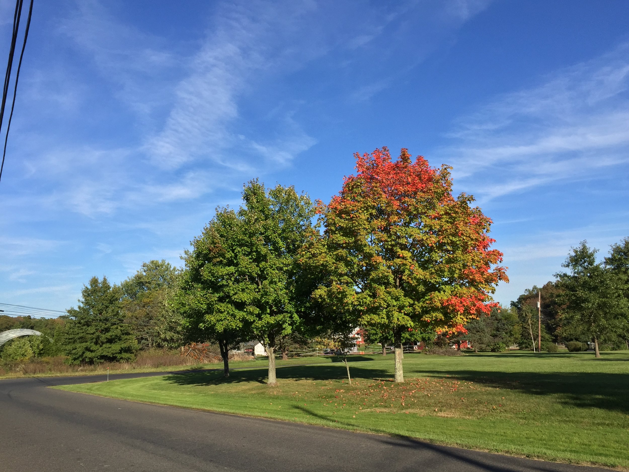 Essay: On the Unofficial Notification of Fall