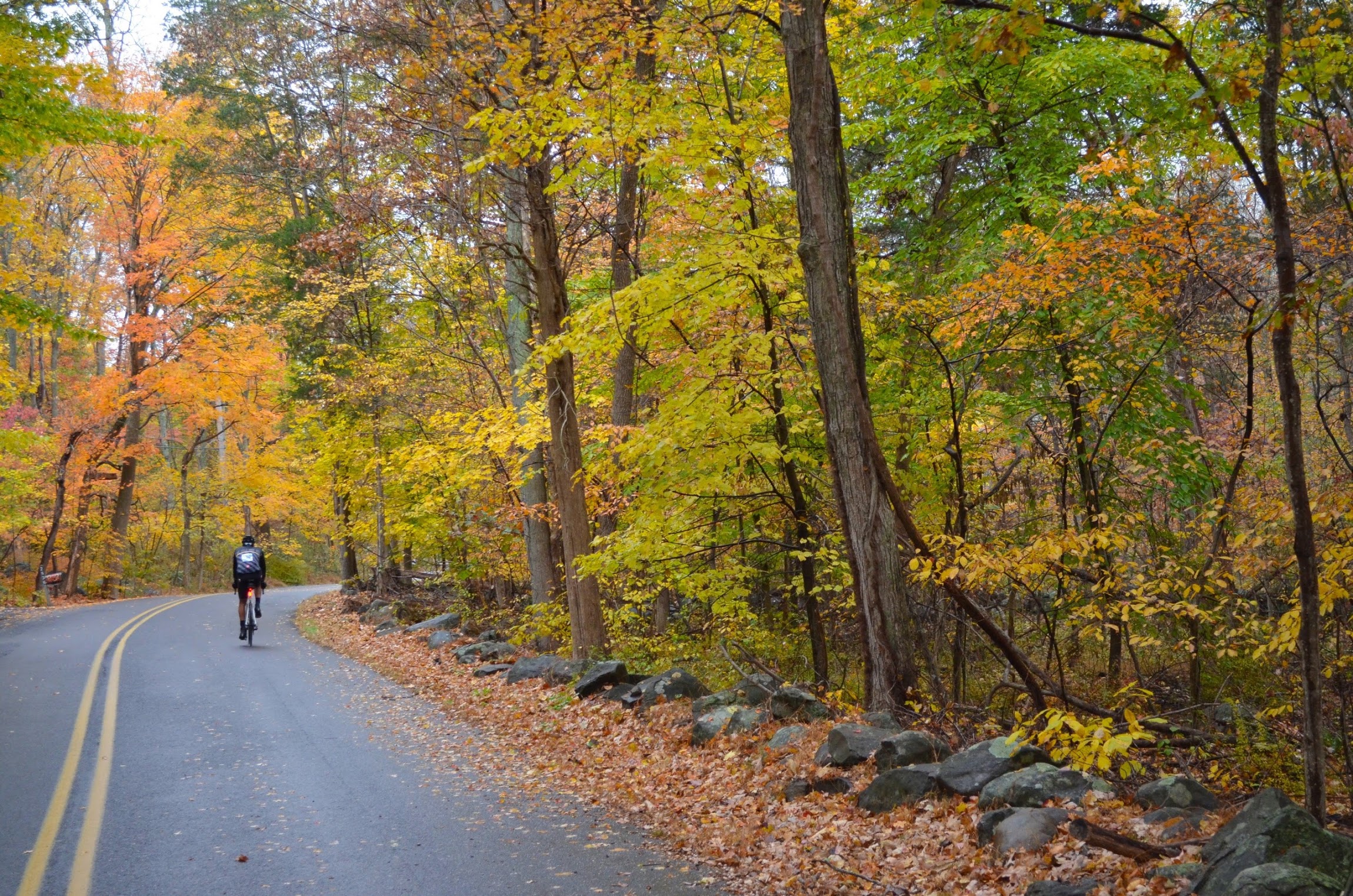An example of the fall colors during last year's Oktoberfest ride by Kermesse Sport. Photo credit Janine Carroll.