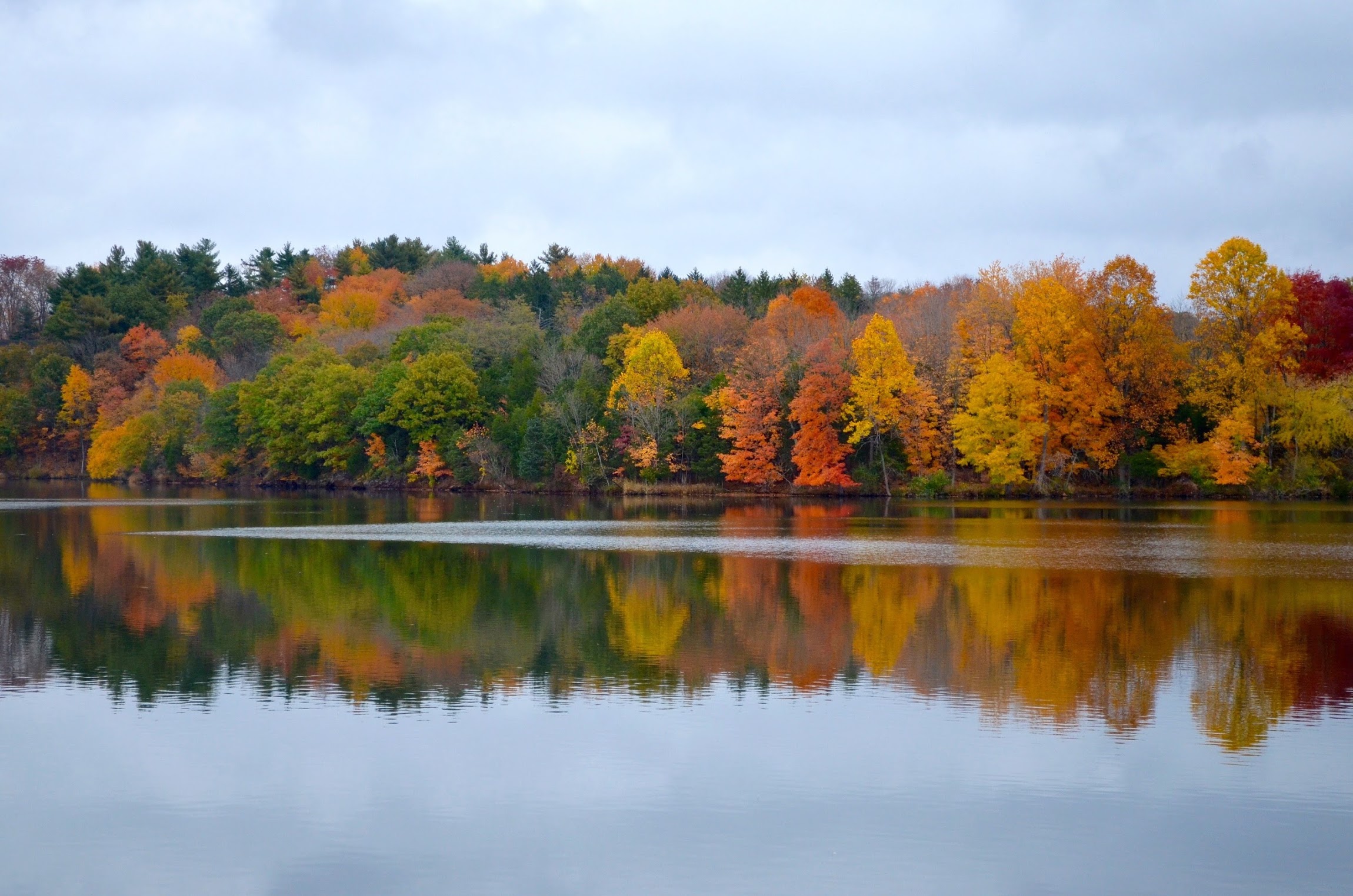 Colors are reflected at Green Lane Reservoir in Montgomery County. The ride passes through the park after Eichele Hill climb. Photo courtesy Janine Carroll.