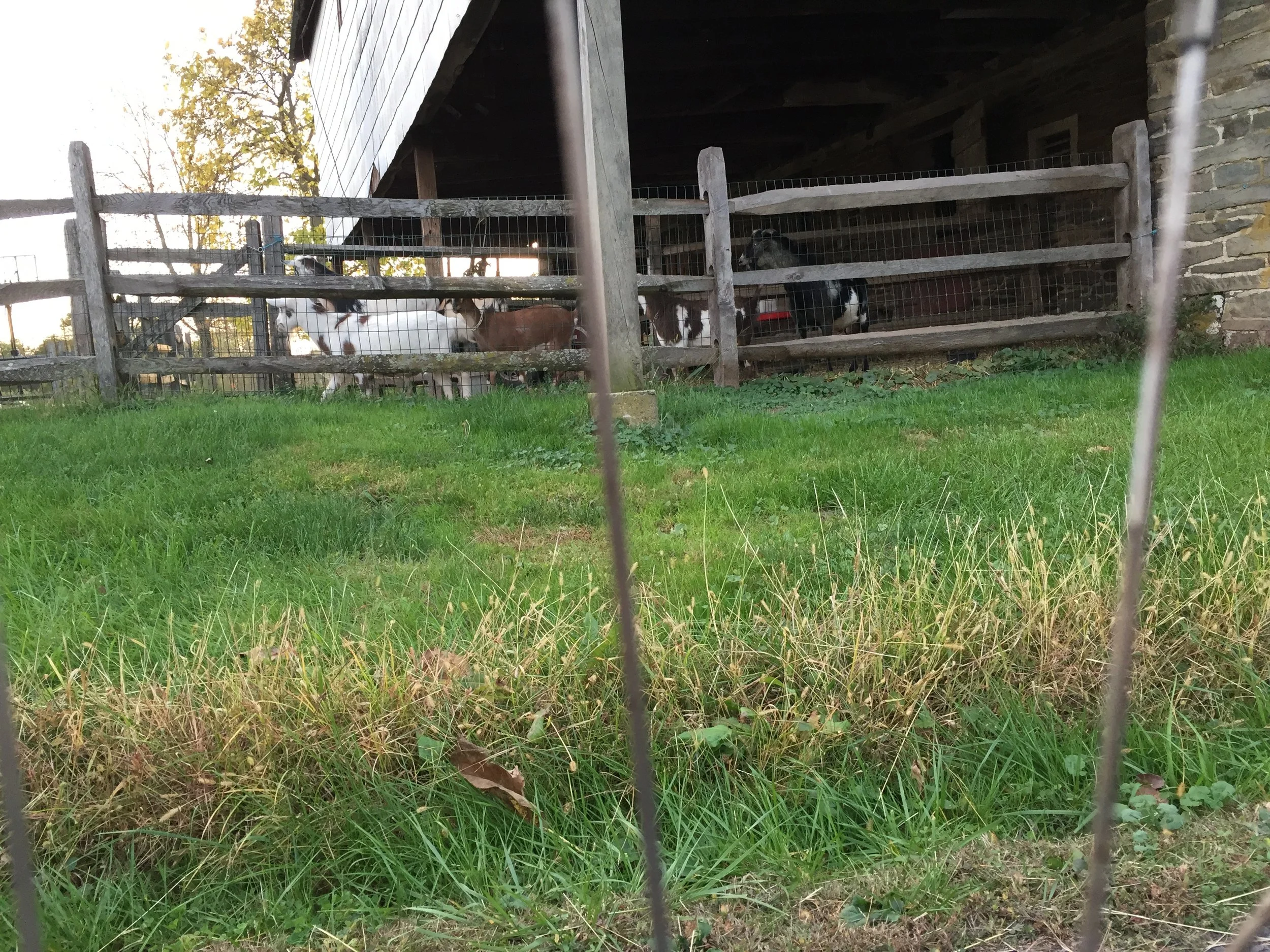 Rides We Like: An Indian Summer Outing