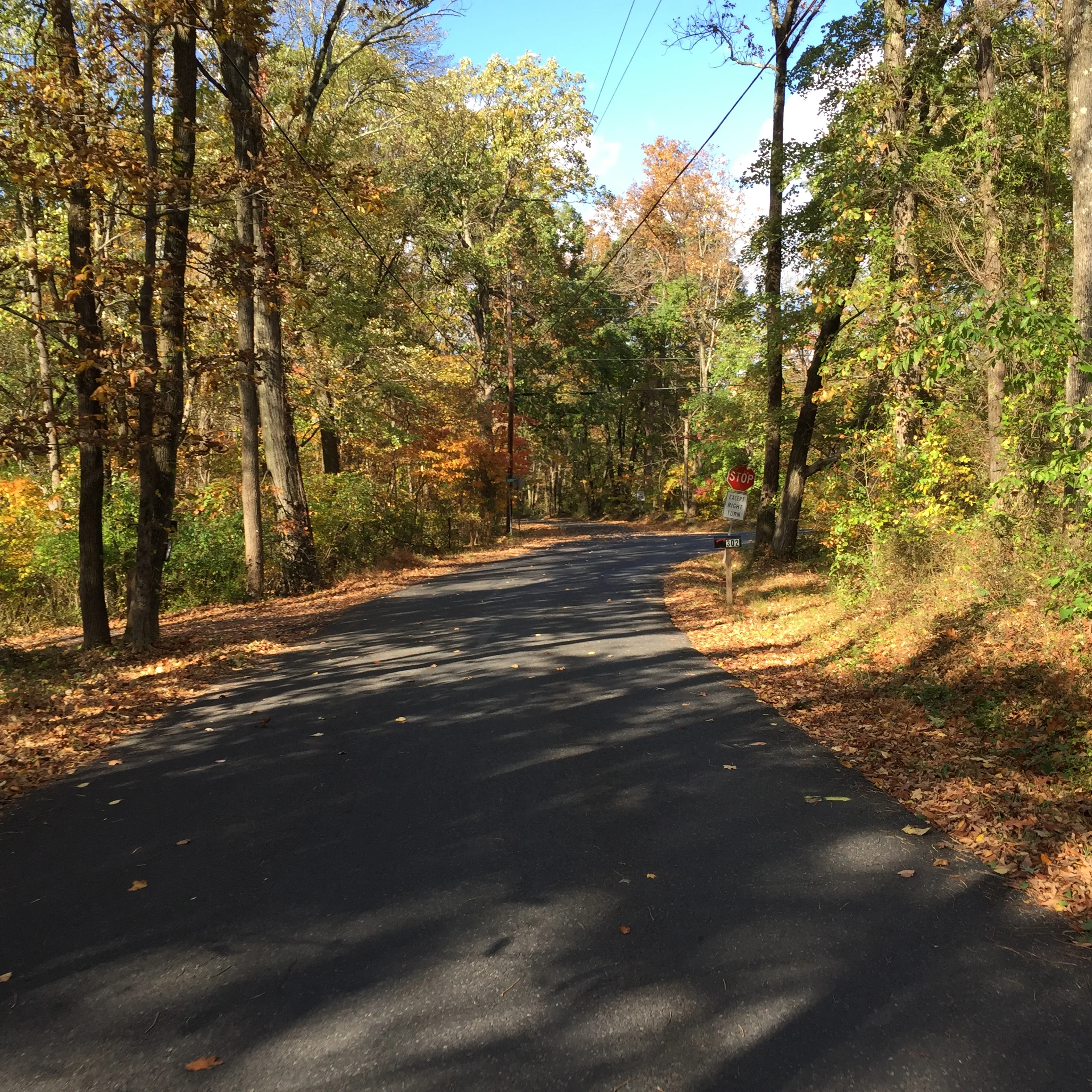 Rides We Like: Covered Bridges Ride Sweep & Tinicum Church Road