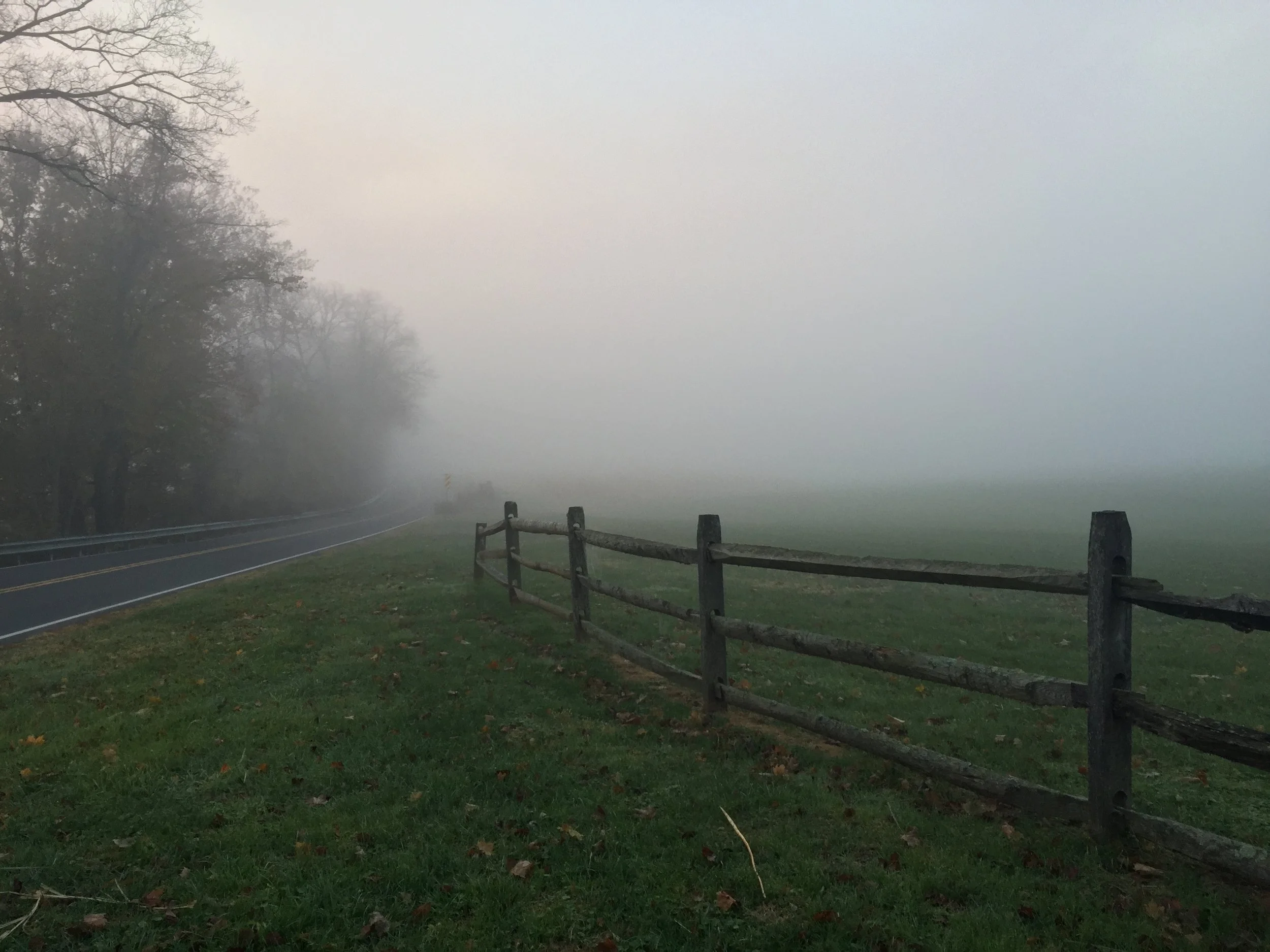 Essay: On River Road