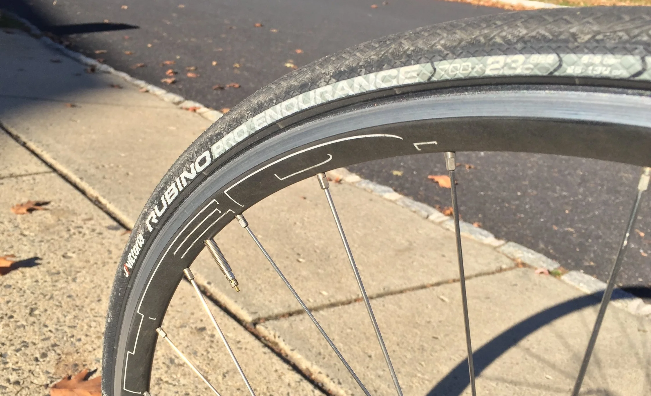 Review: Vittoria Rubino Pro Endurance and Speed