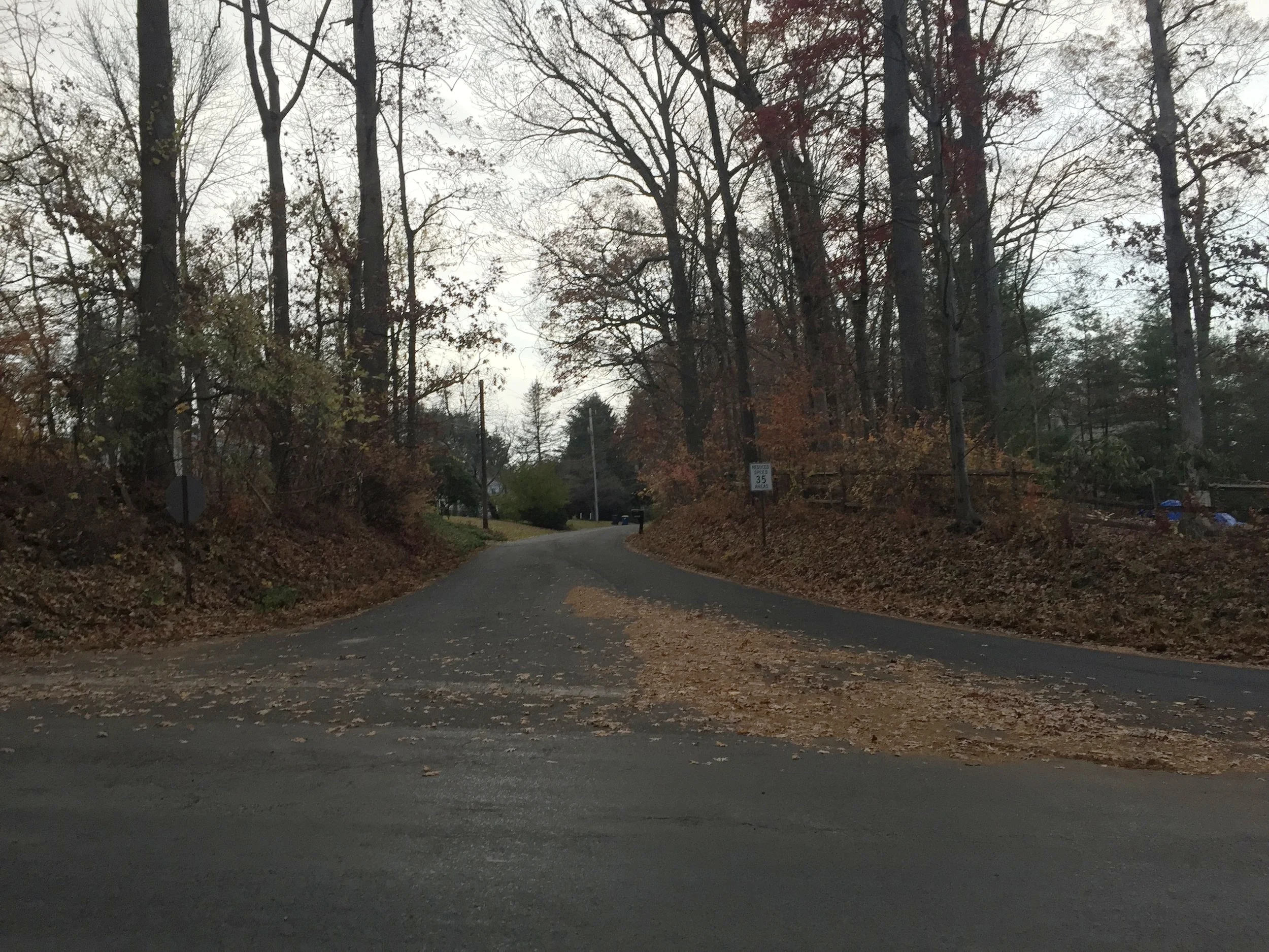 Essay: On Slippery Rail Season