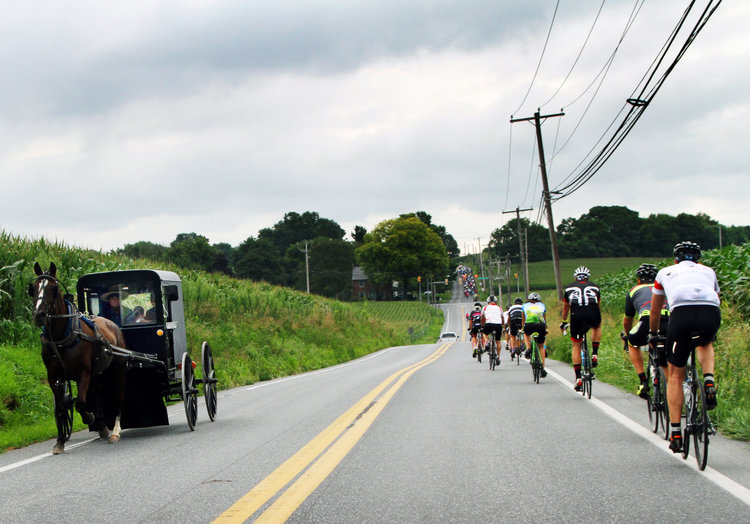 Ride in Pennsylvania long enough and this sight will become fairly common. The fact that the ride is paired with local cuisine has us hoping to make it to Farm to Fork Fondo's Lancaster edition in 2017.
