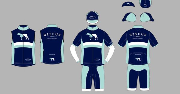 The Rescue Project kit is different from year to year. This is not what the 2017 kit will look like, though it is proof that they can design an attractive kit.