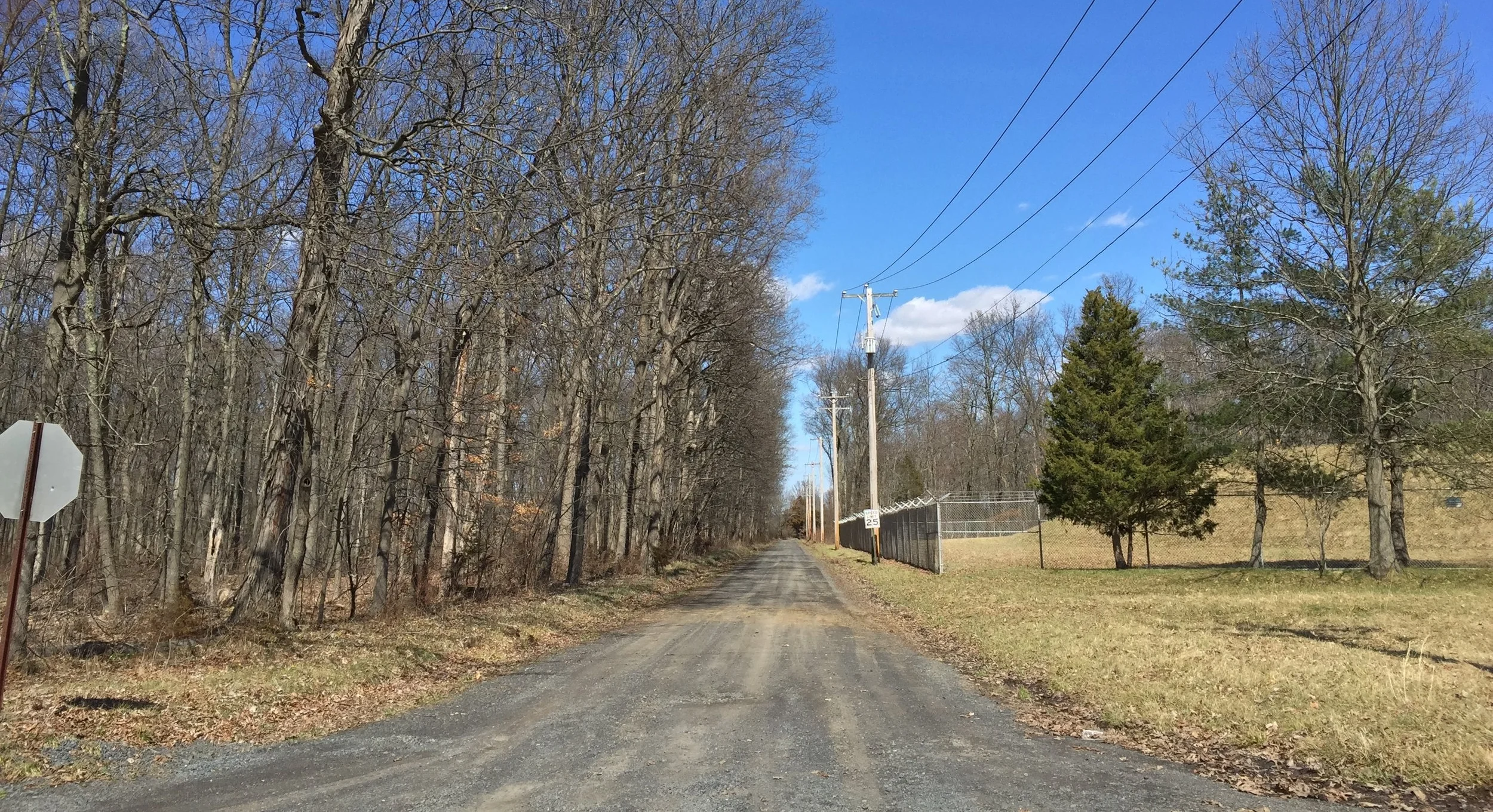 Rides We Like: A Fool’s Paradise (As They Say)