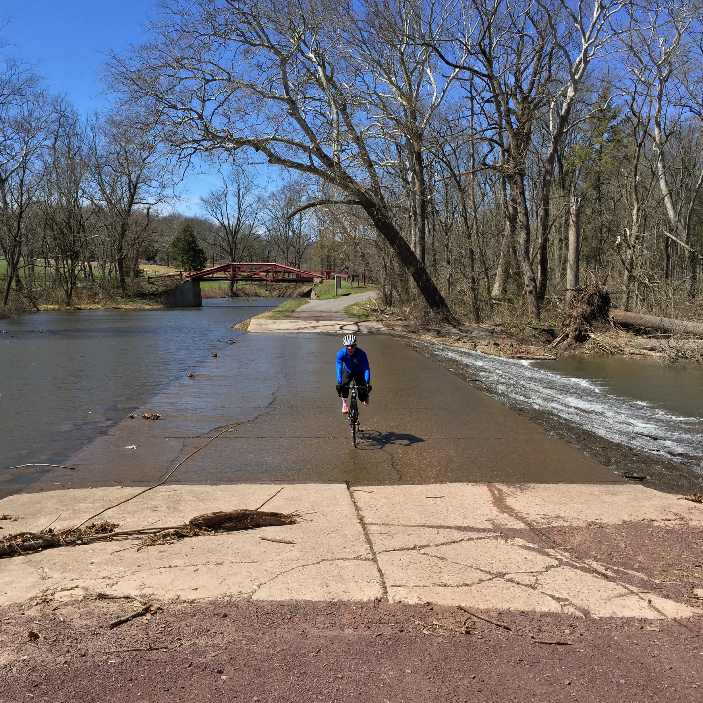 Rides We Like: A Procrastination Met