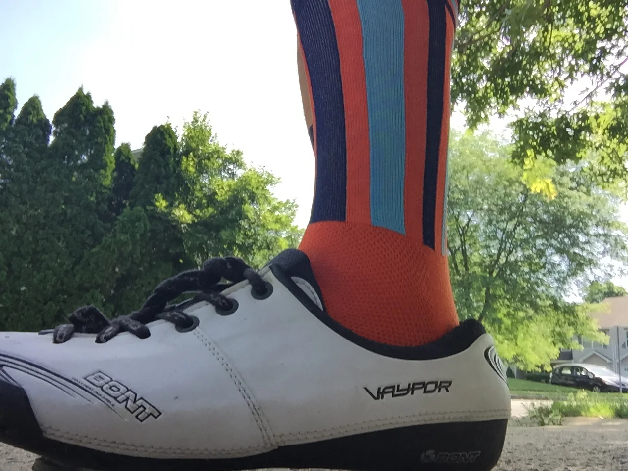 Essay: On the Ode to Liveries