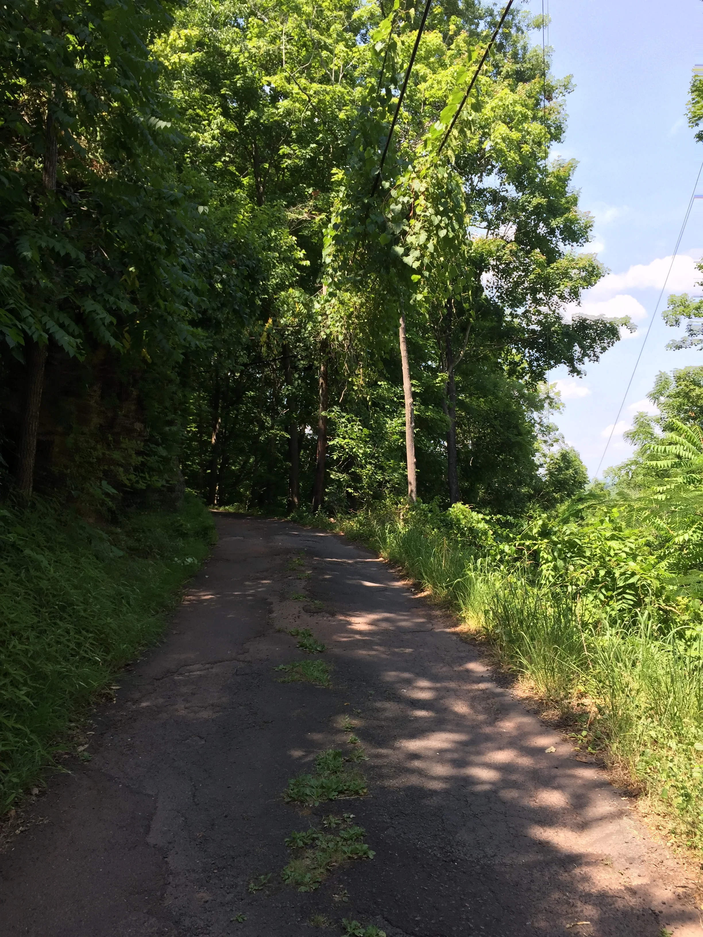 Rides We Like: A Progressive Double Ascent