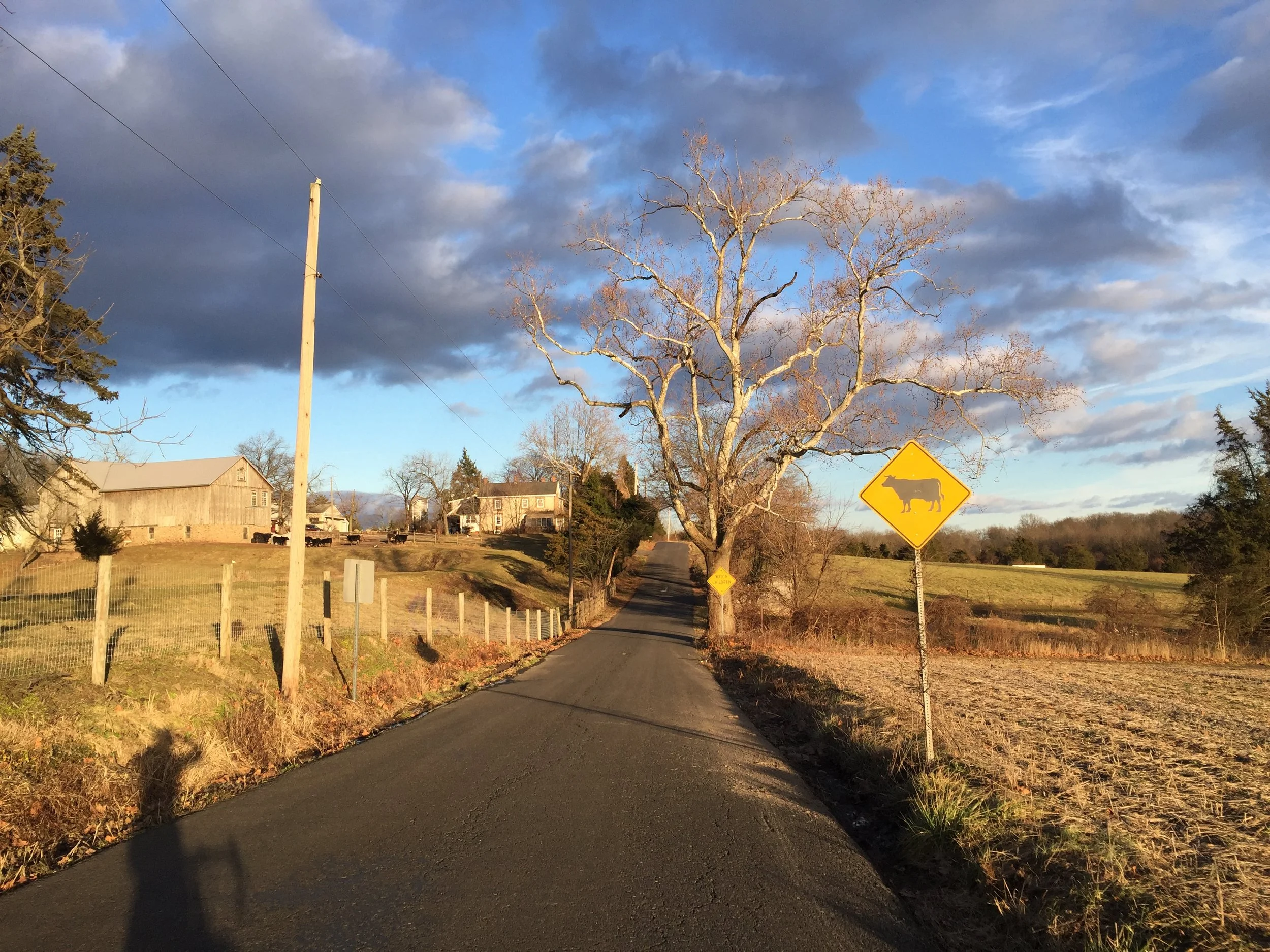 Events: The 2018 Rapha Festive 500 Day Six