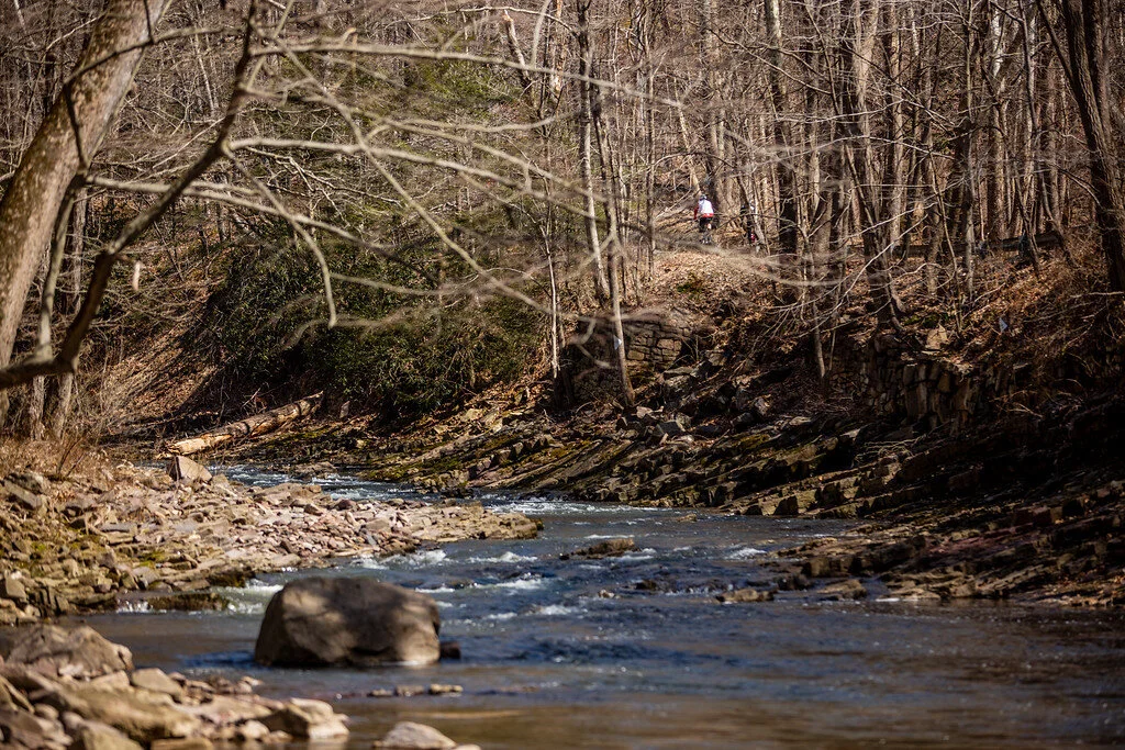 Rides We Like: Therapeutic Rides