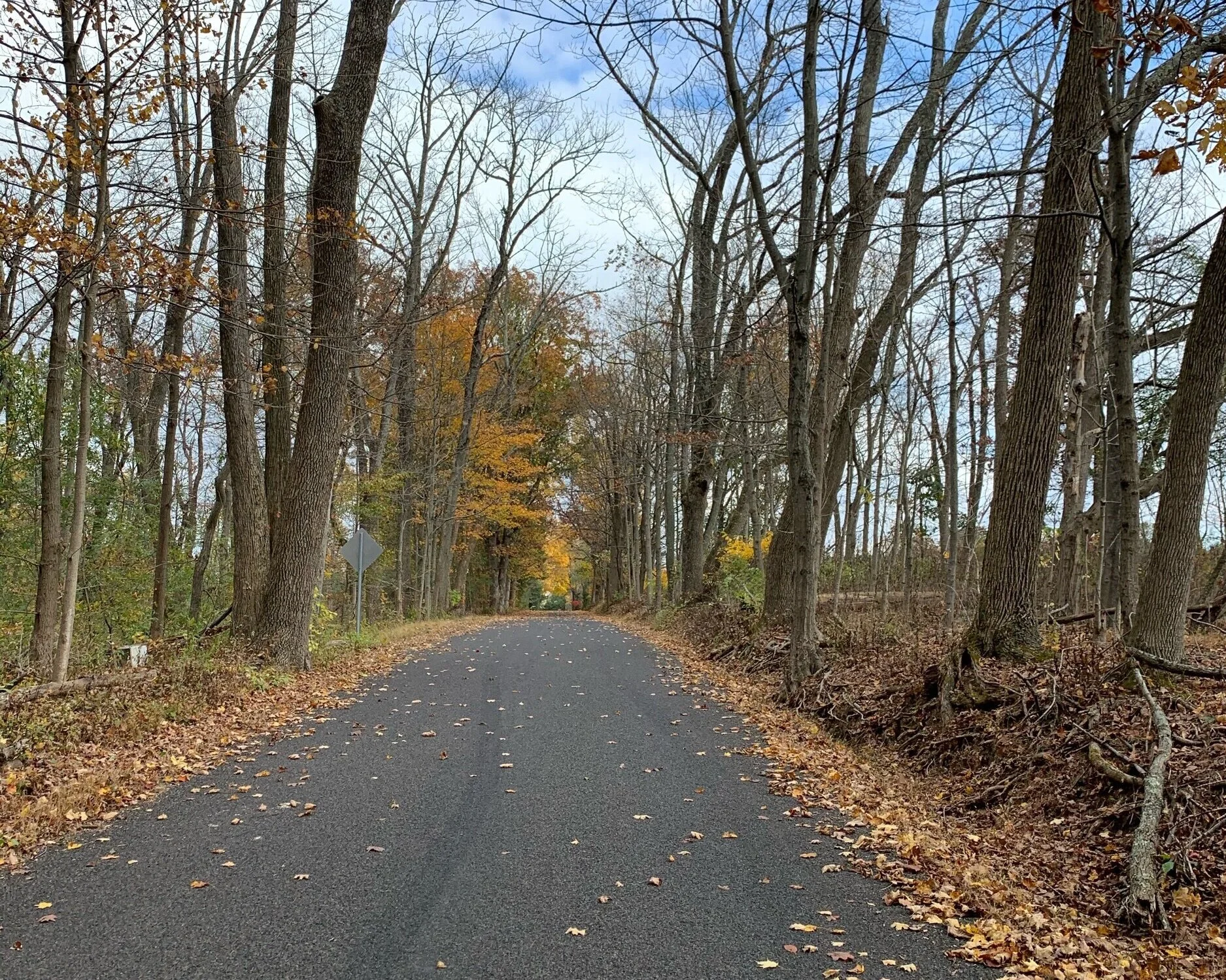 Essay: On Cycling’s Chutzpah