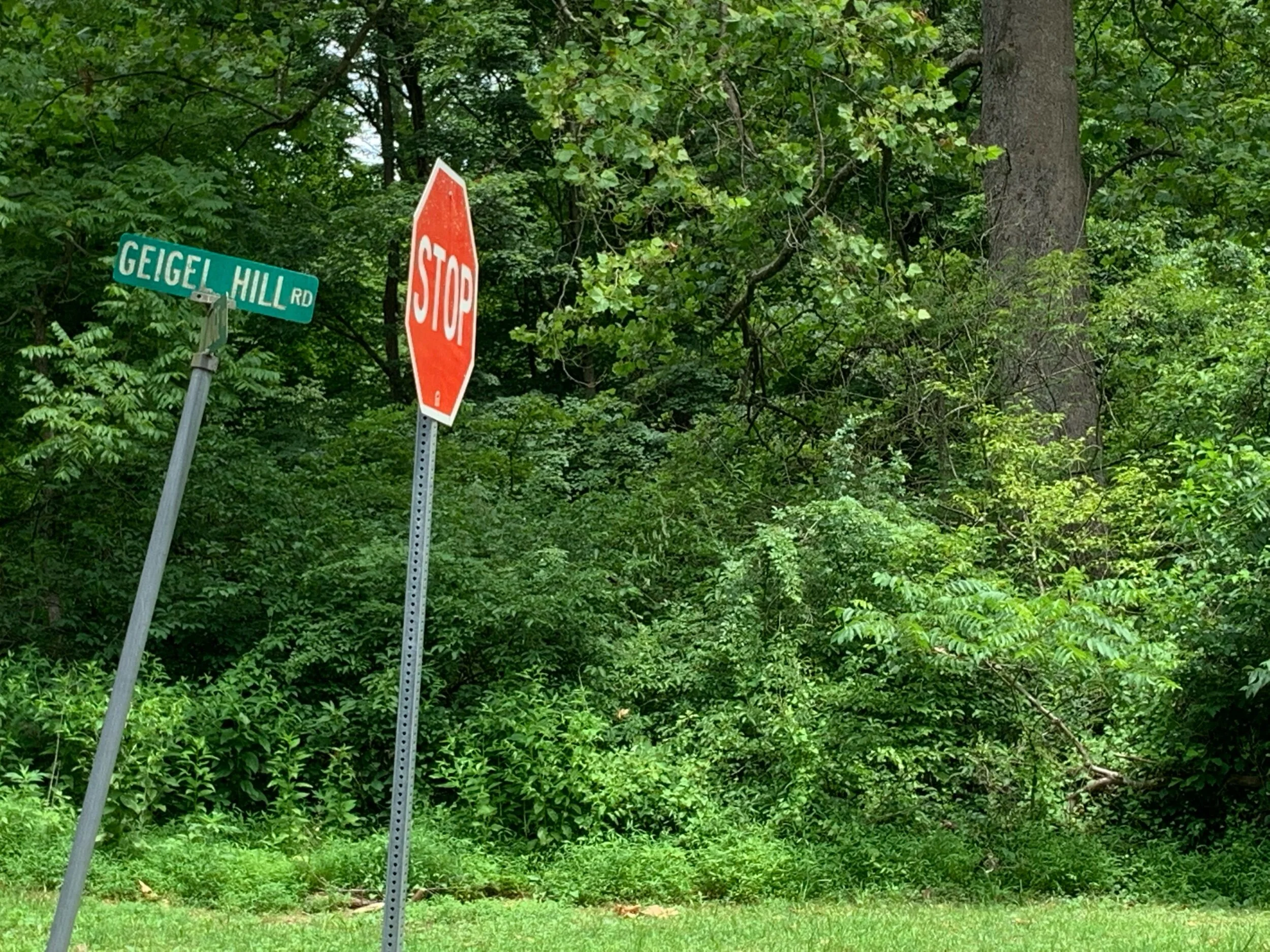 Rides We Like: These Pennsylvania Roads