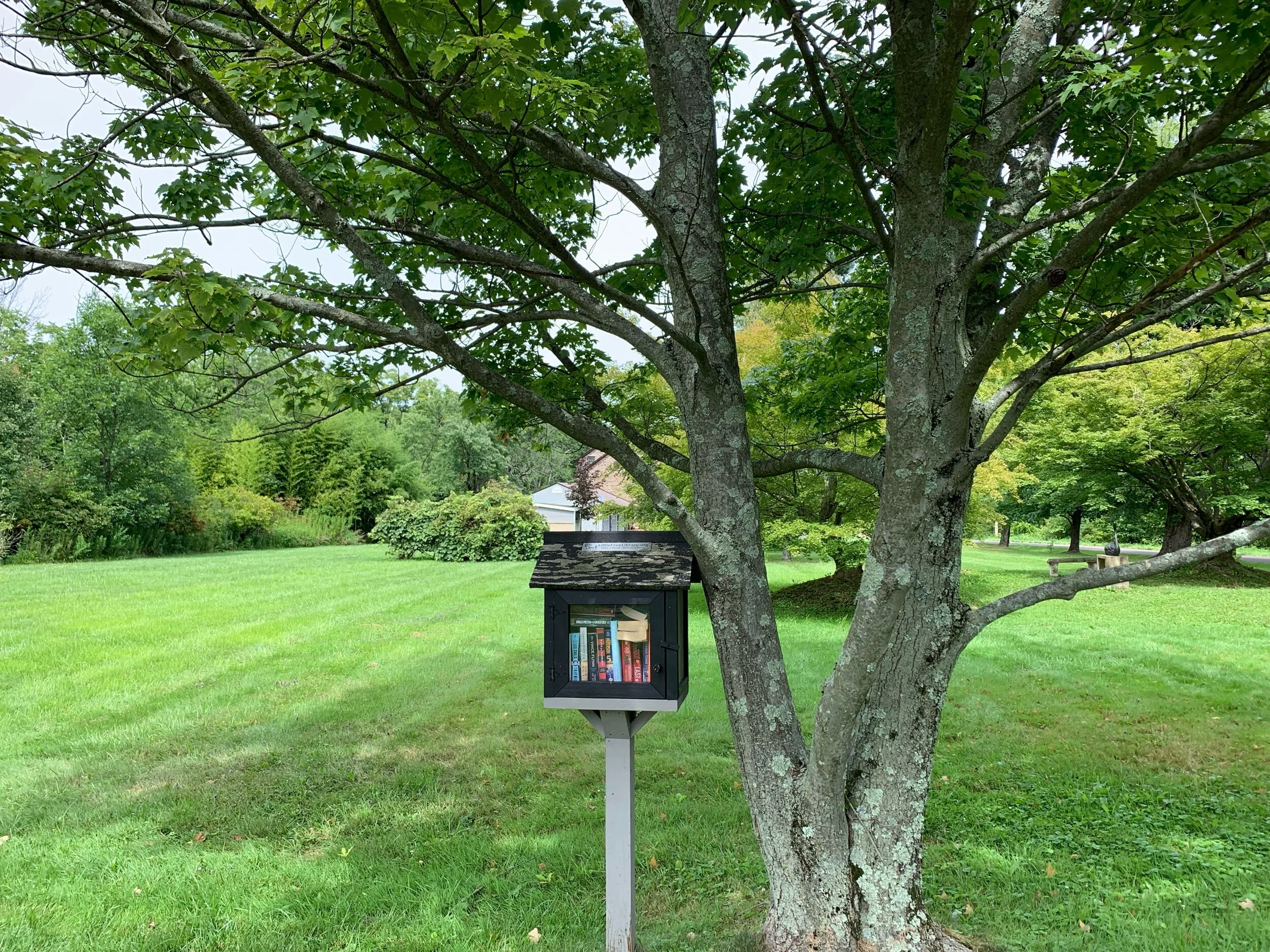 Rides We Like: Little Free Library Tours