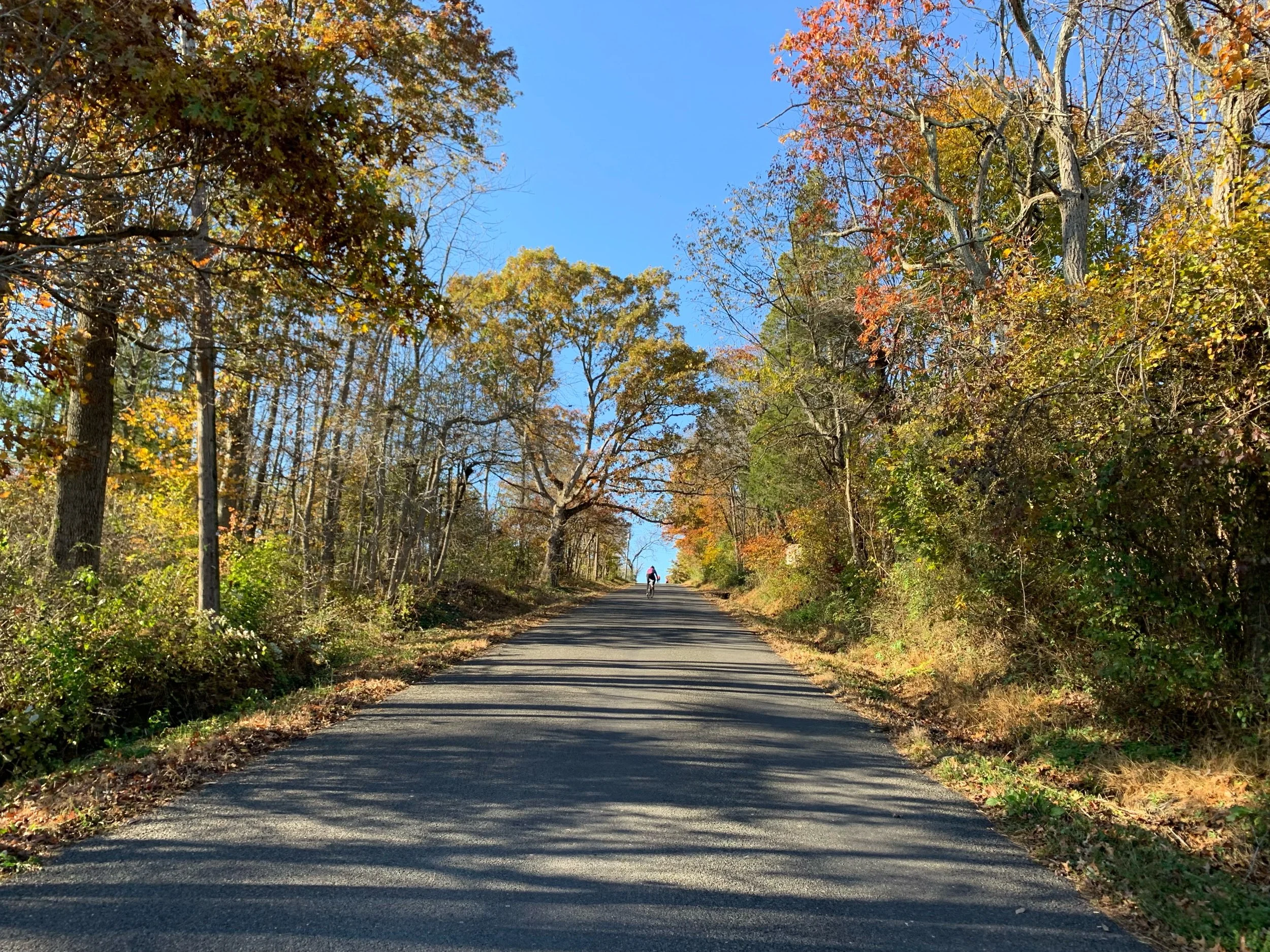 Events: Guy Fawkes Ride 2021