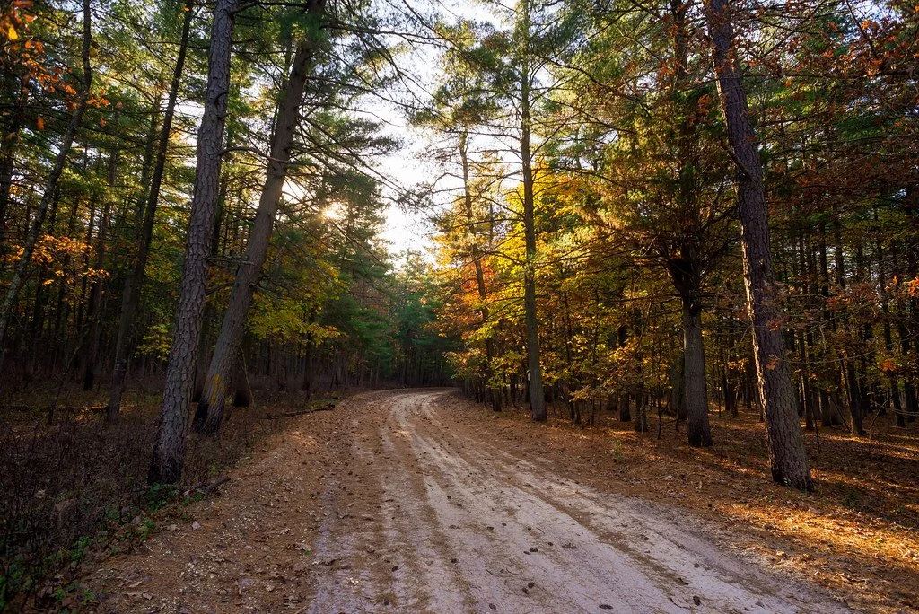 Events: Pinelands Gravel (Upcoming)