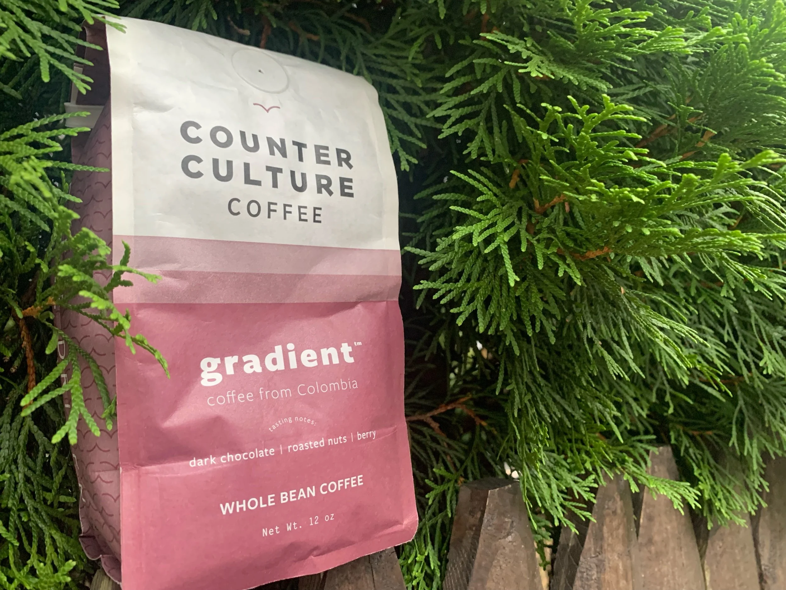 Review: Counter Culture Coffee Gradient