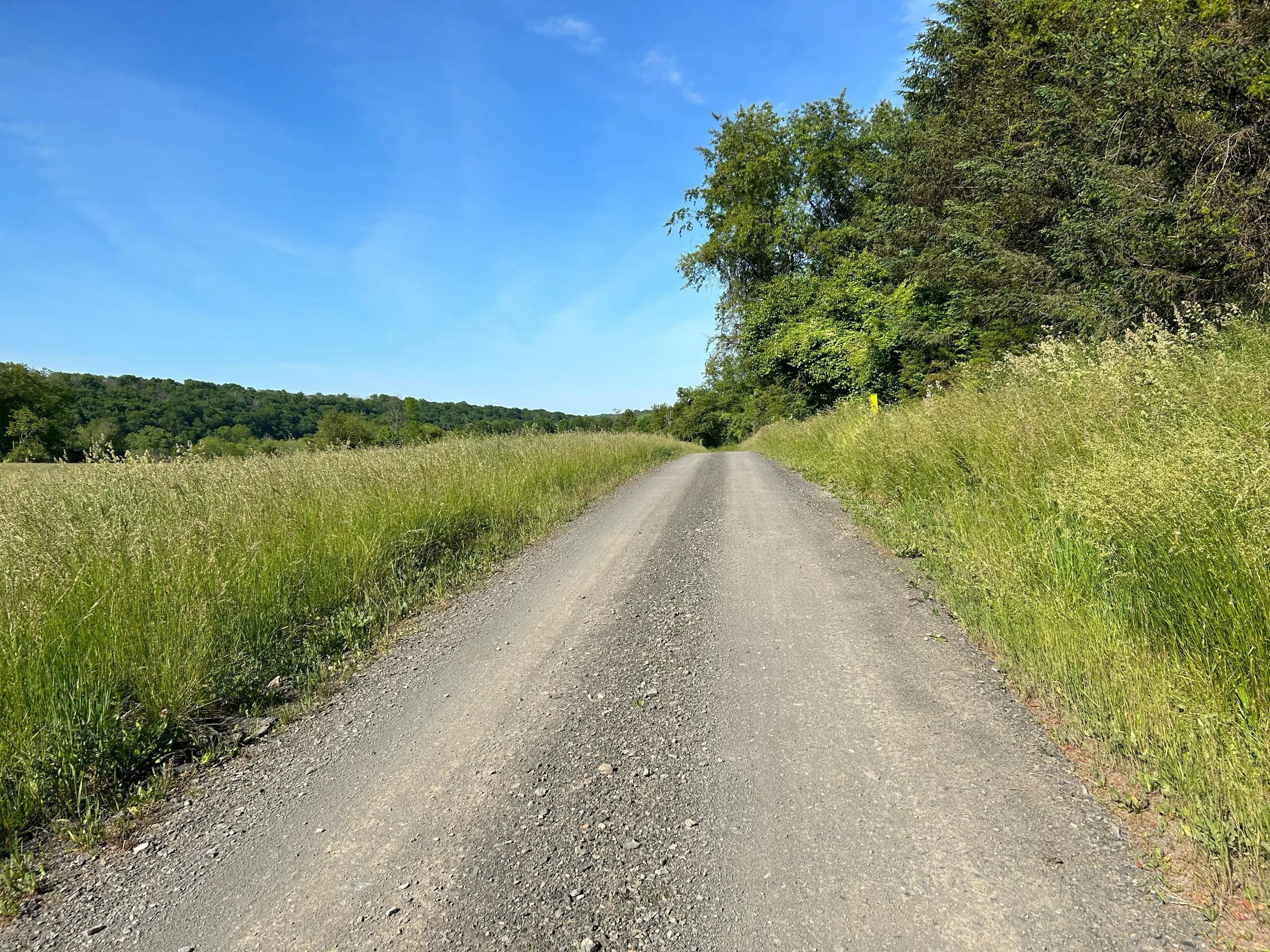 Events: Fools Classic 2023