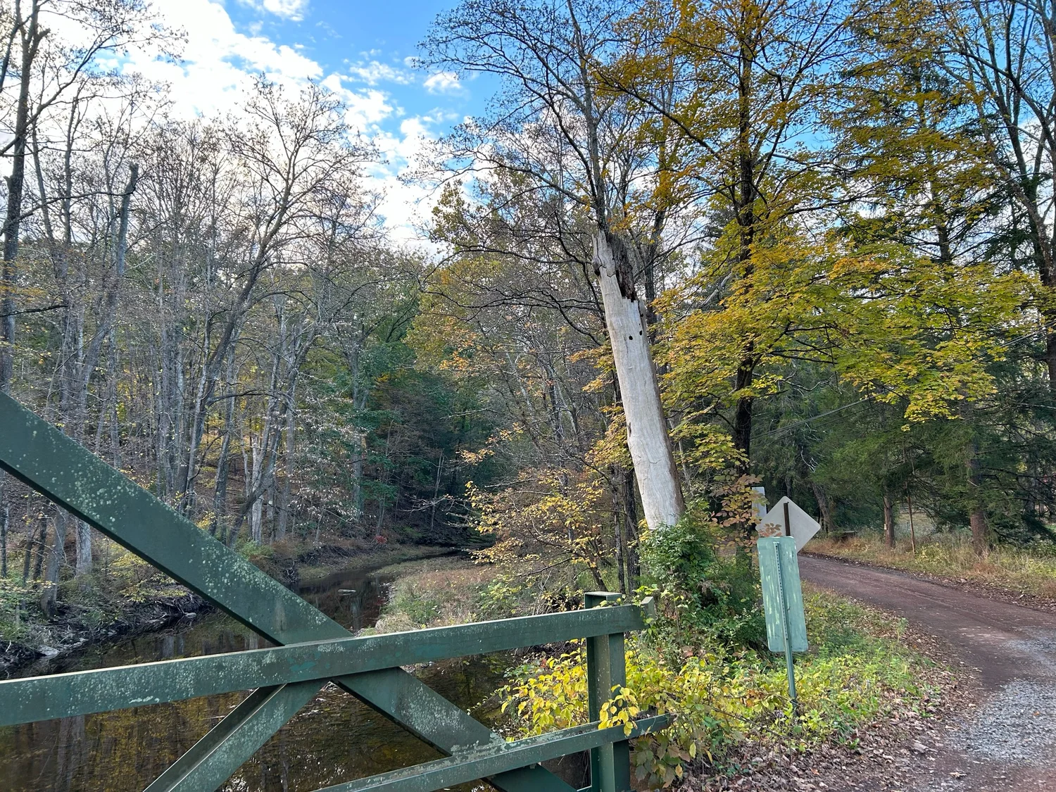 Rides We Like: Sheep Hole Road