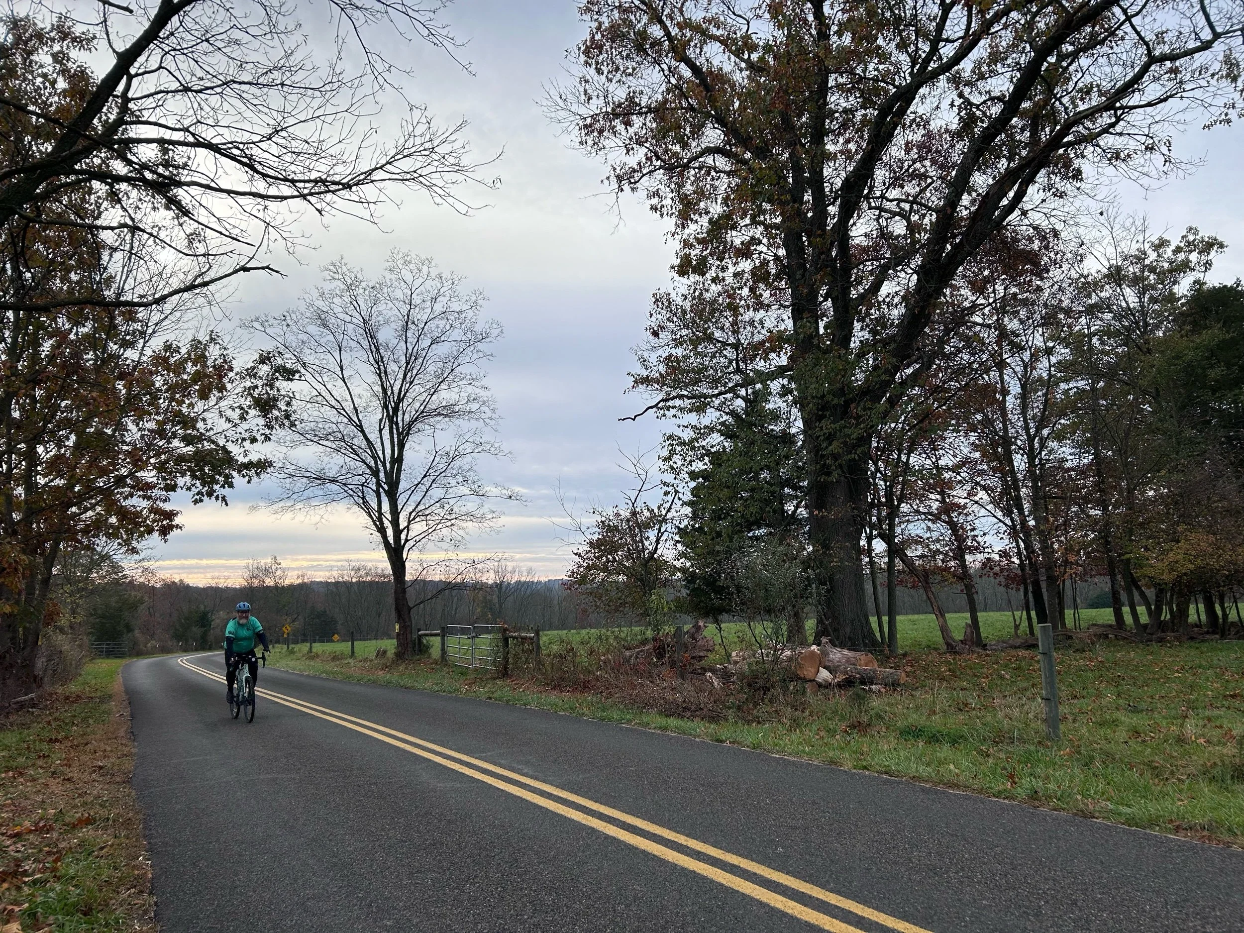 Events: GuyToberFawkes 2023